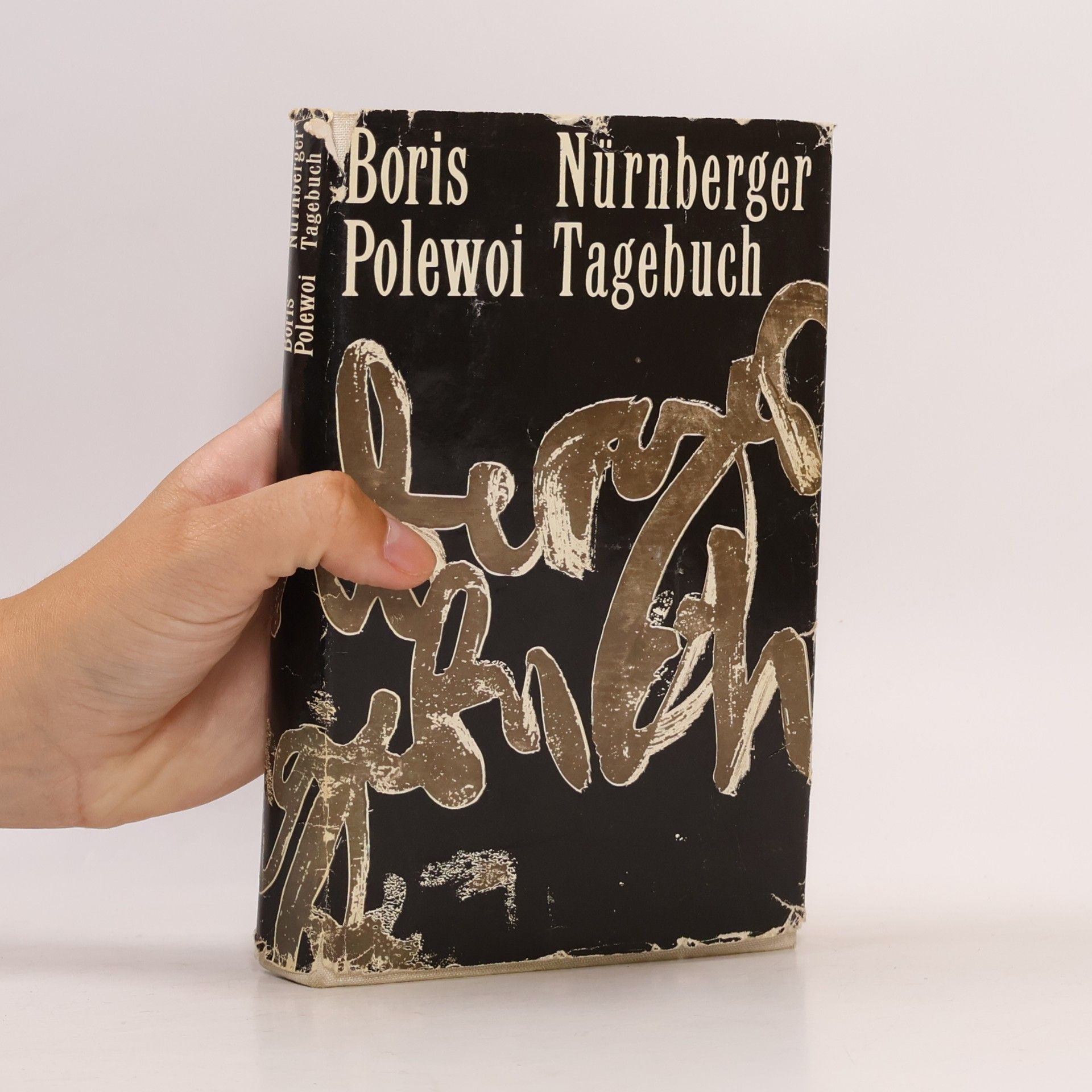 Boris Polewoi Nürnberger Tagebuch