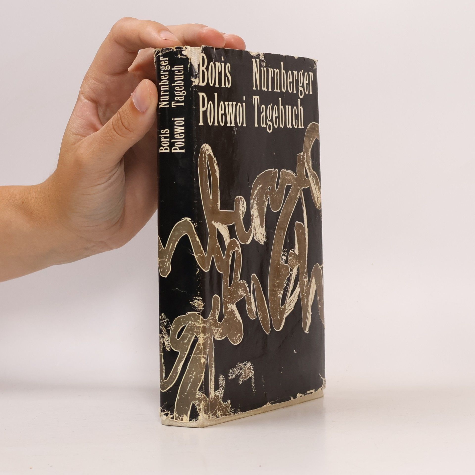Boris Polewoi Nürnberger Tagebuch