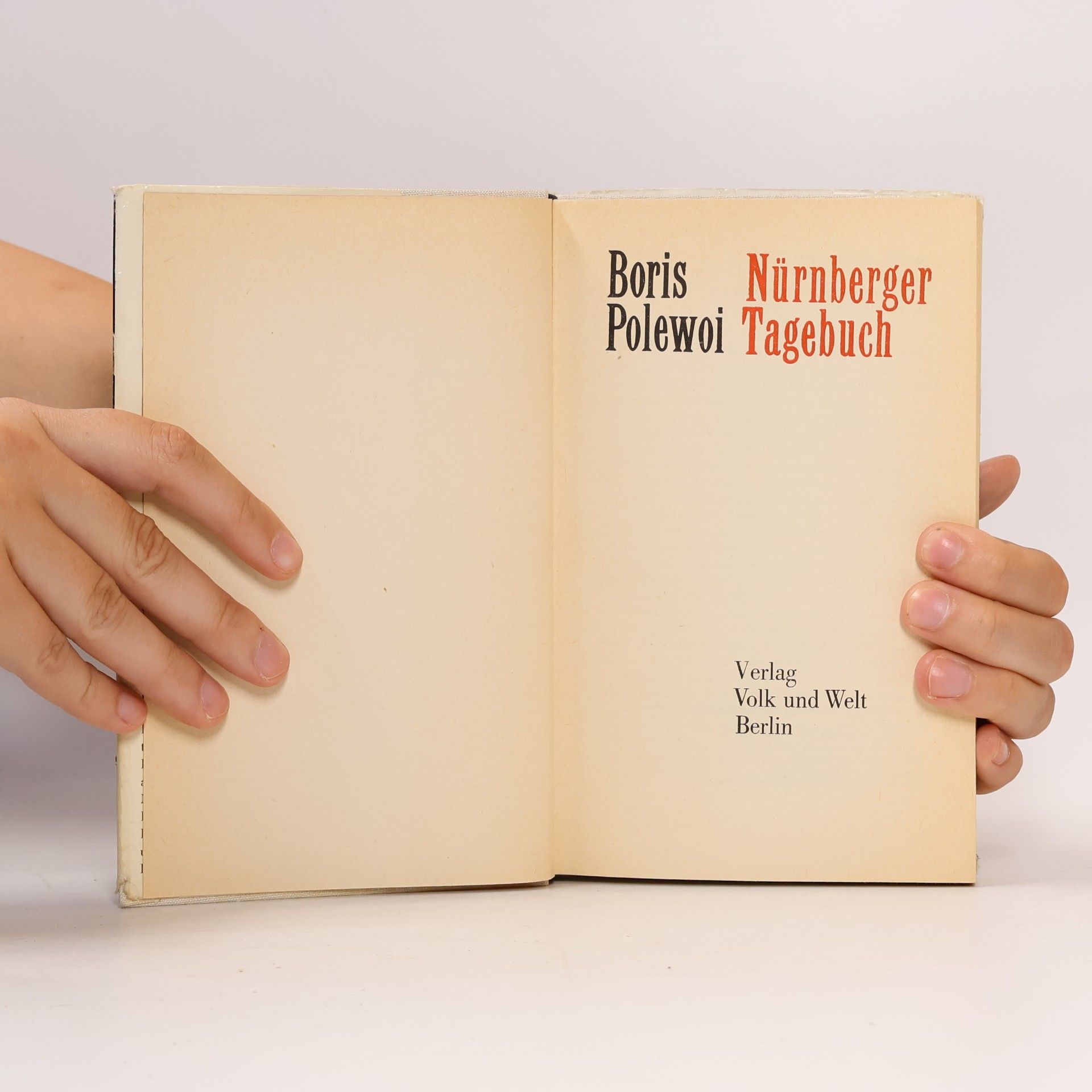 Boris Polewoi Nürnberger Tagebuch
