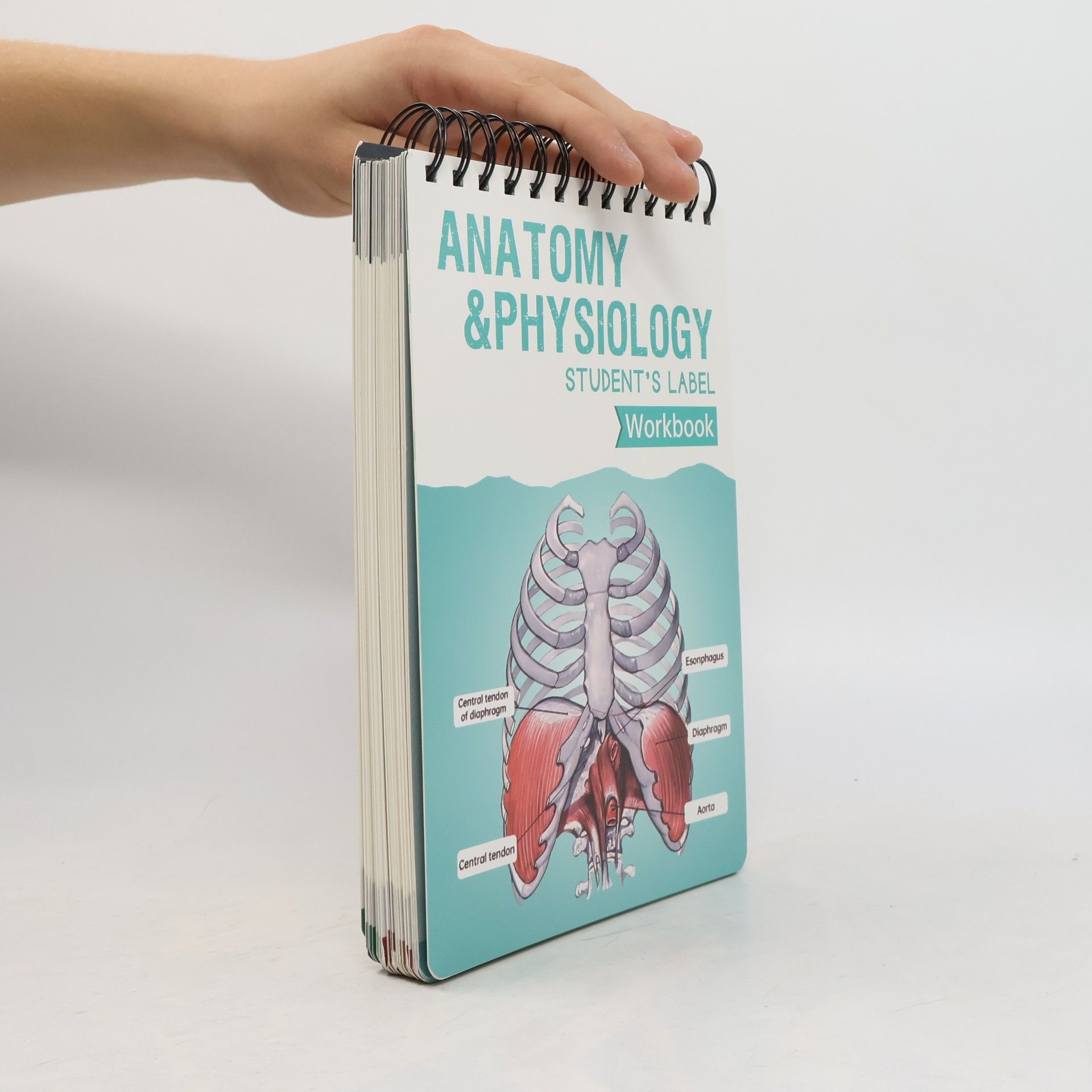 Various authors Anatomy & Physiology