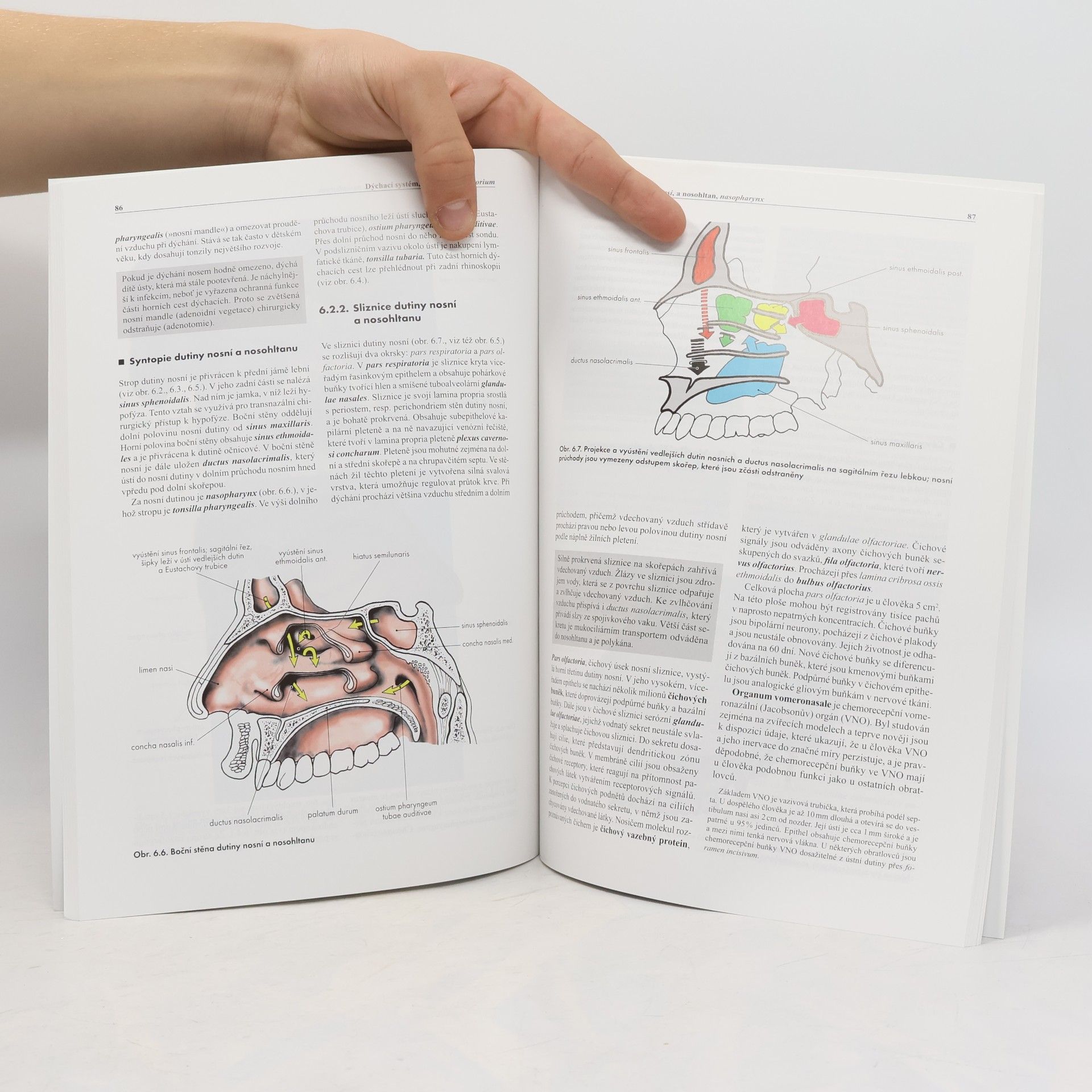 Miloš Grim Základy anatomie. 3a., Trávicí a dýchací systém