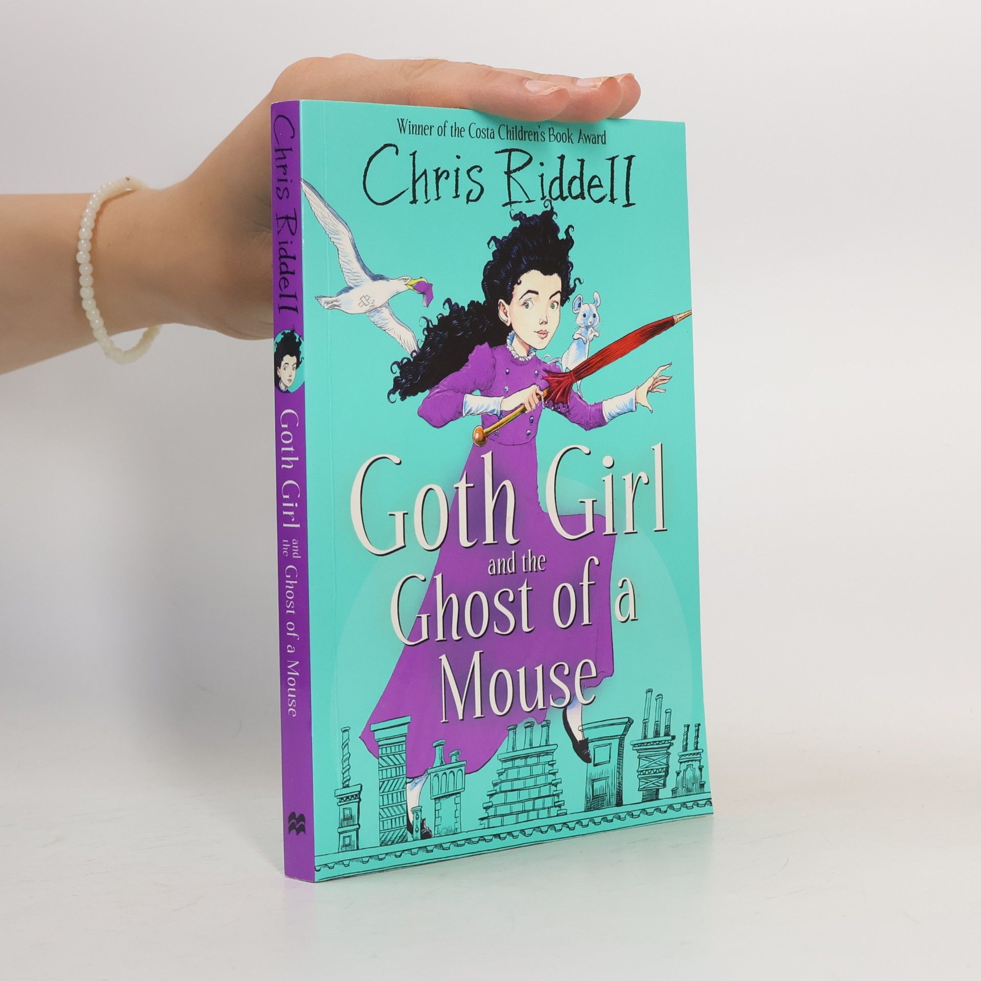 Chris Riddell Goth Girl and the Ghost of a Mouse