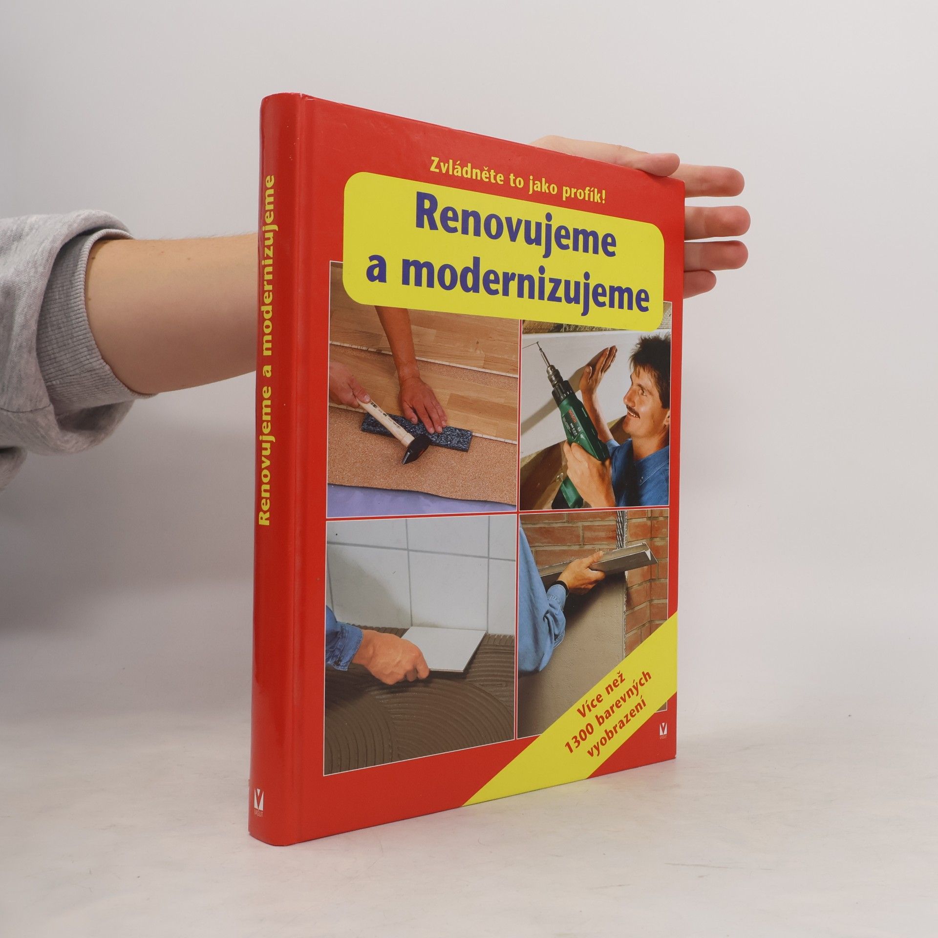 AA.VV. Renovujeme a modernizujeme