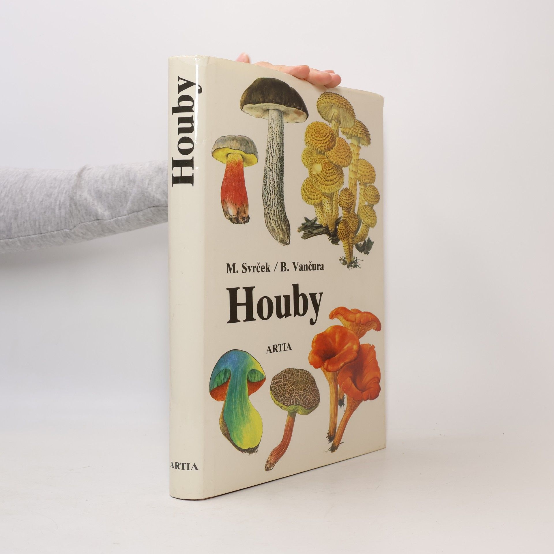 Houby