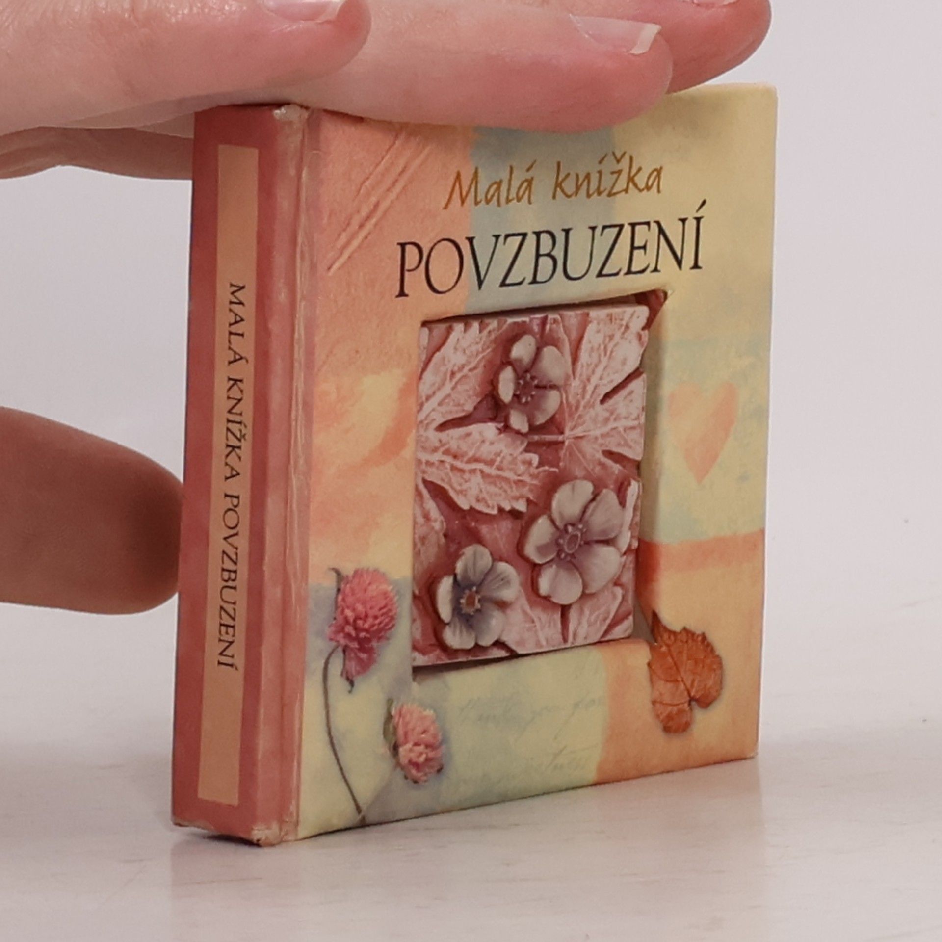 Auteurscollectief Malá knížka povzbuzení