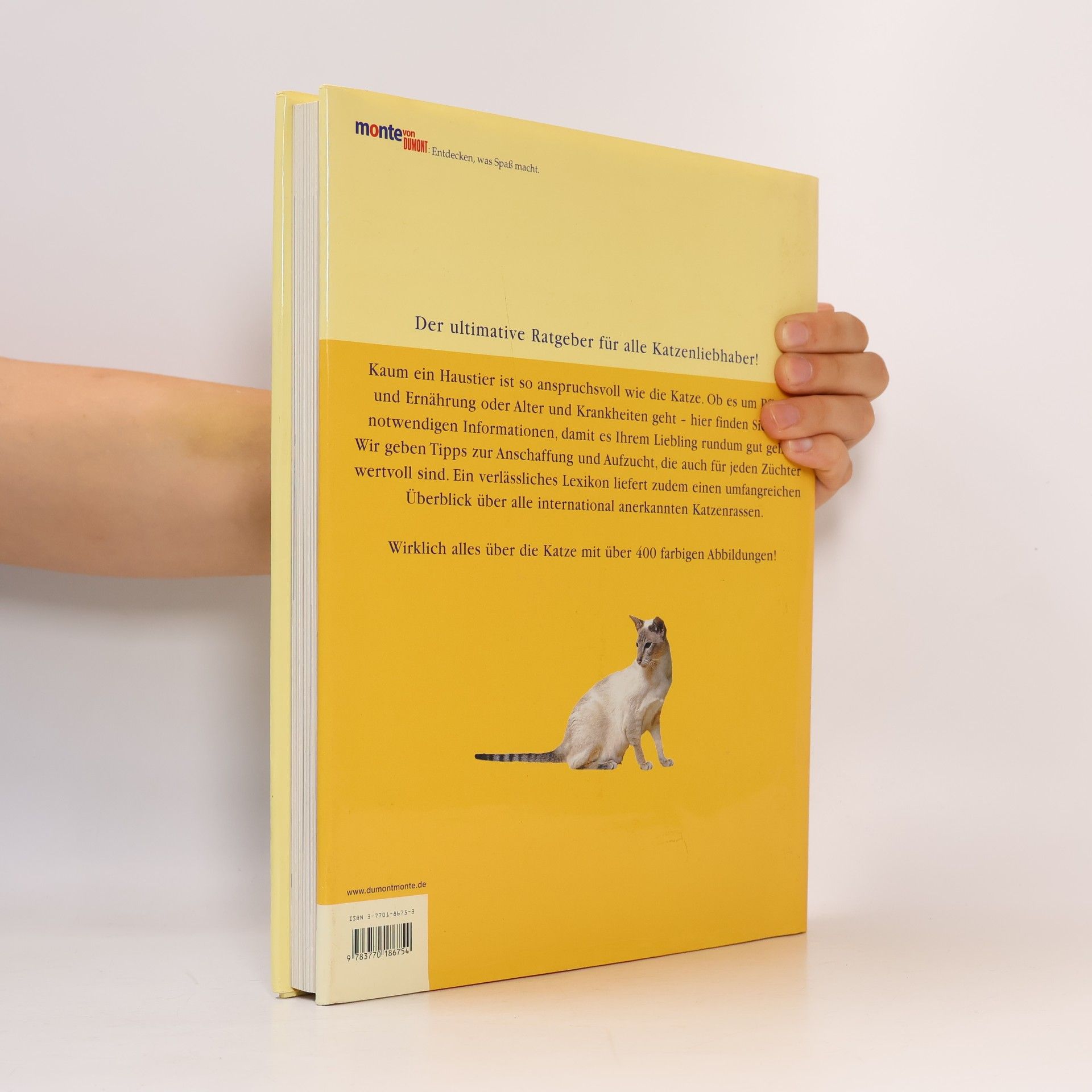 Paddy Cutts Dumont's großes Katzenbuch