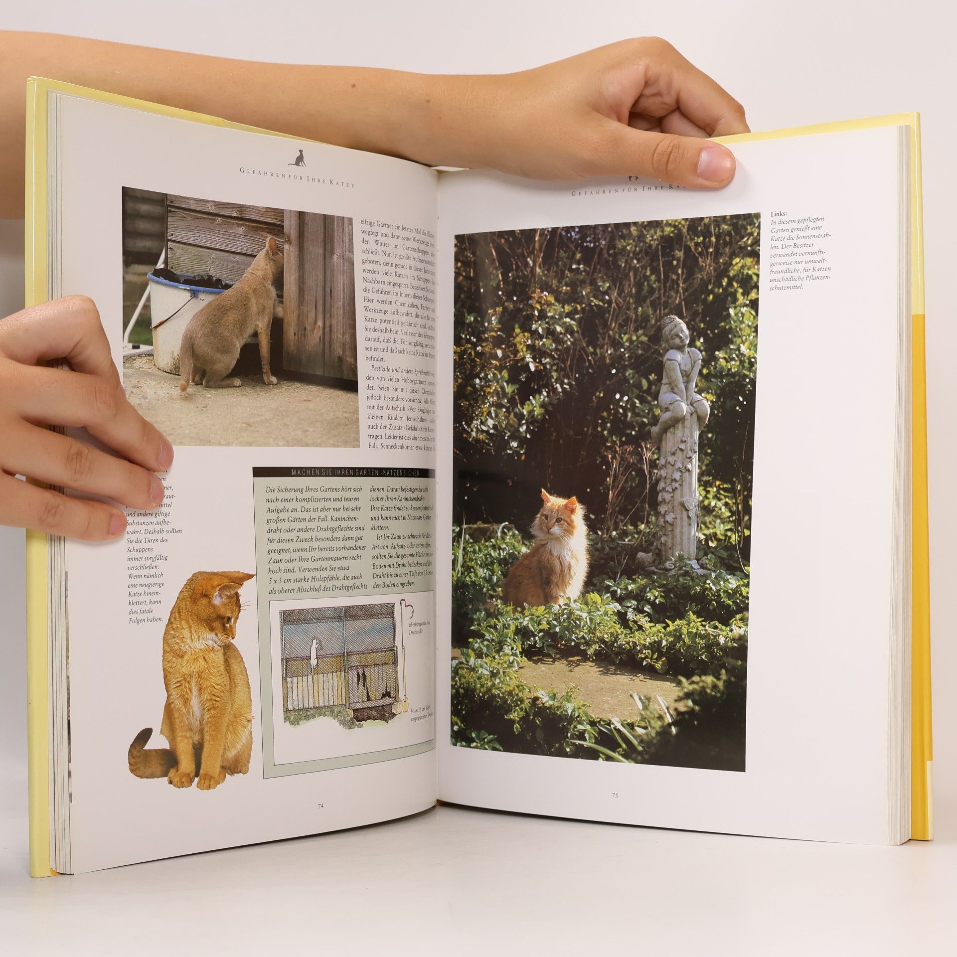 Paddy Cutts Dumont's großes Katzenbuch