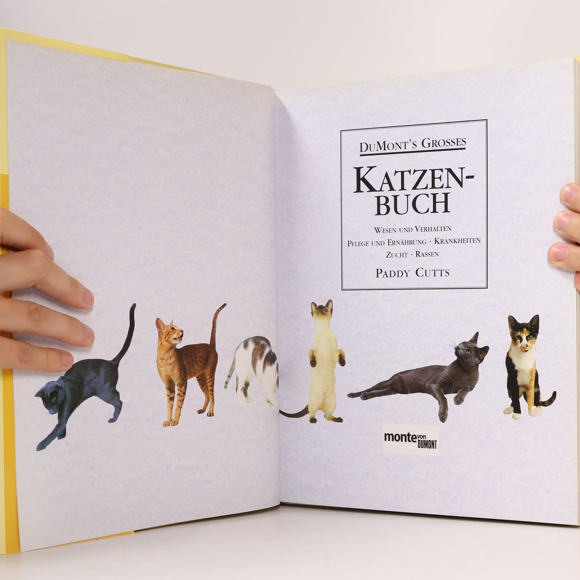 Paddy Cutts Dumont's großes Katzenbuch