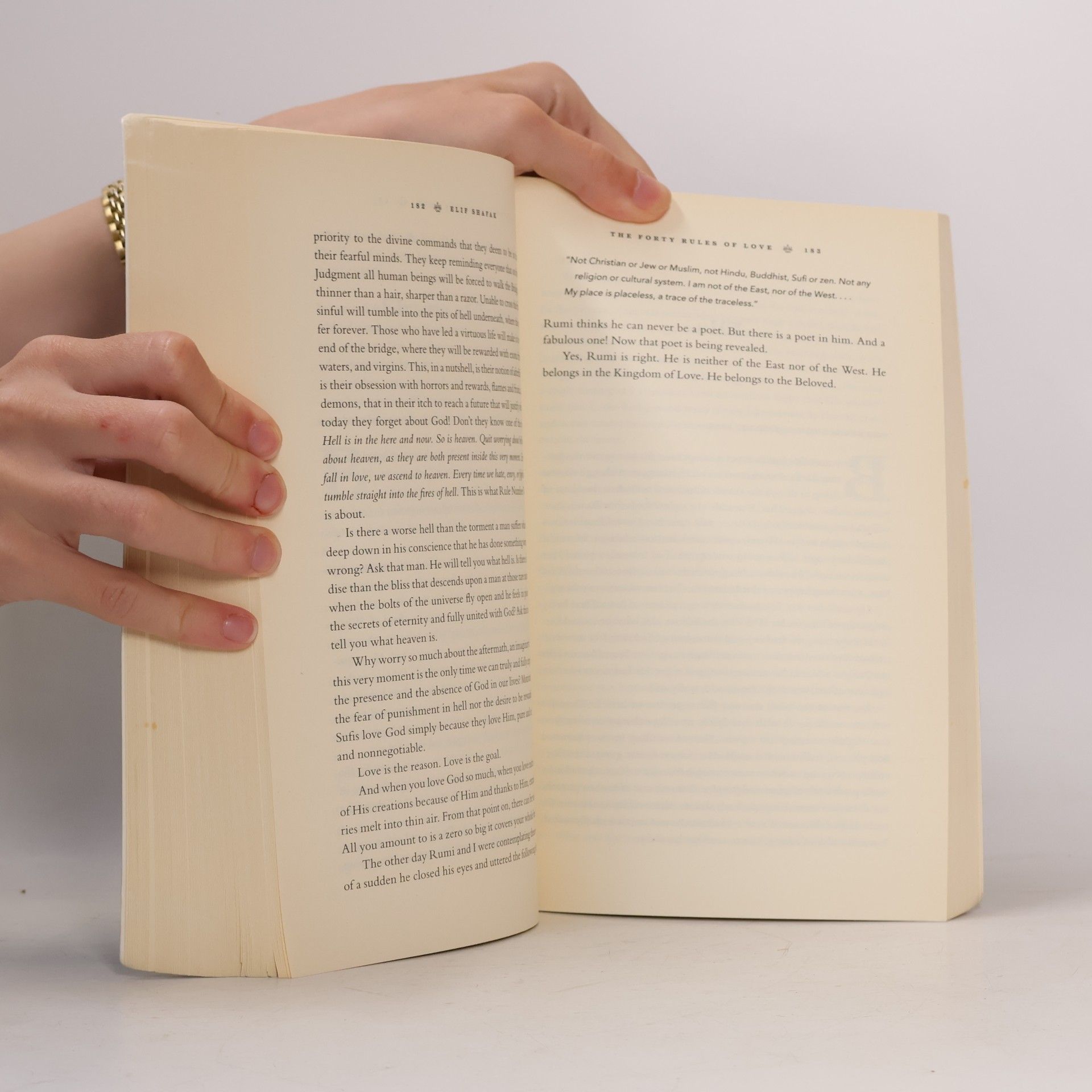 Elif Şafak The Forty Rules of Love