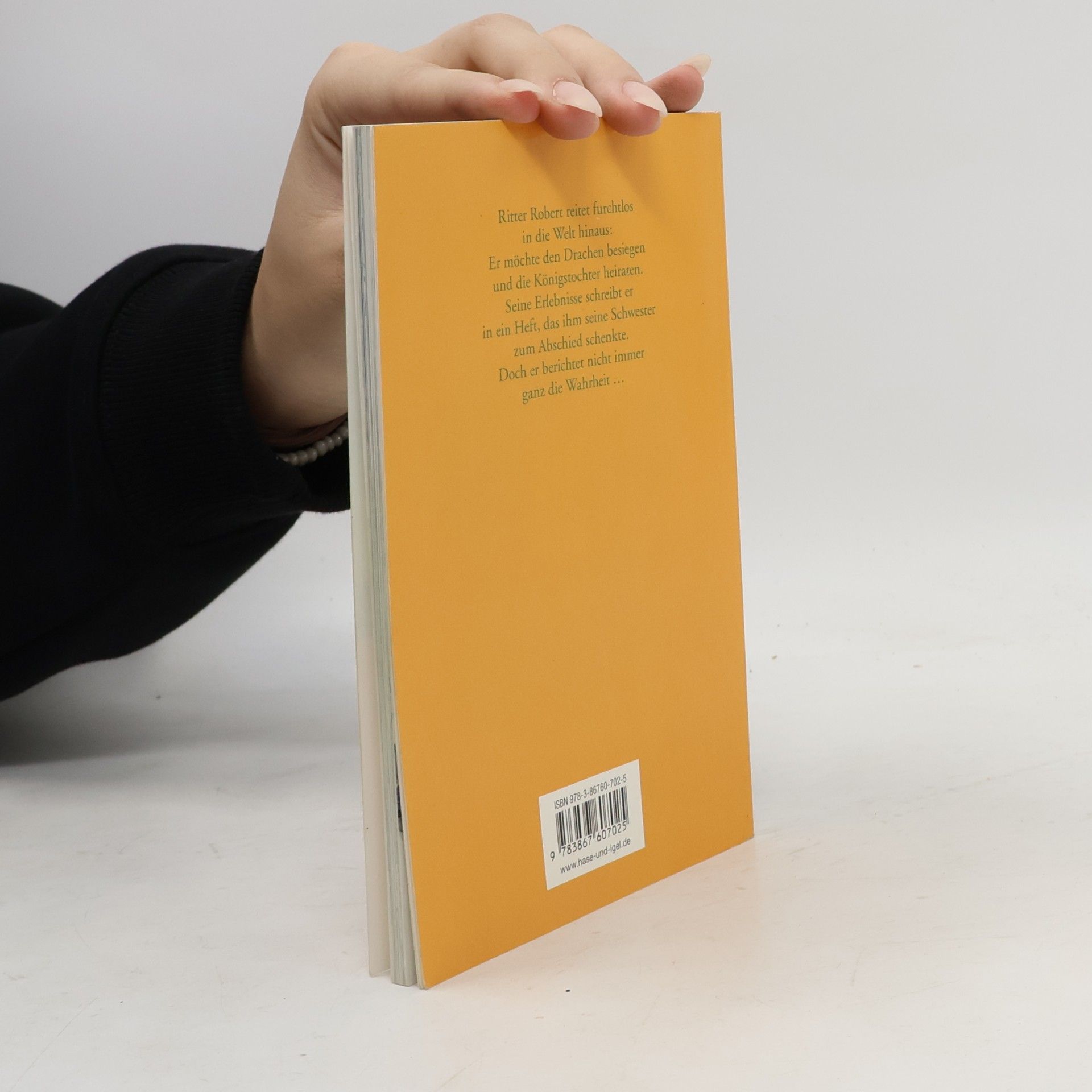Ingrid Uebe Ritter Robert und seine Abenteuer: Sonderausgabe