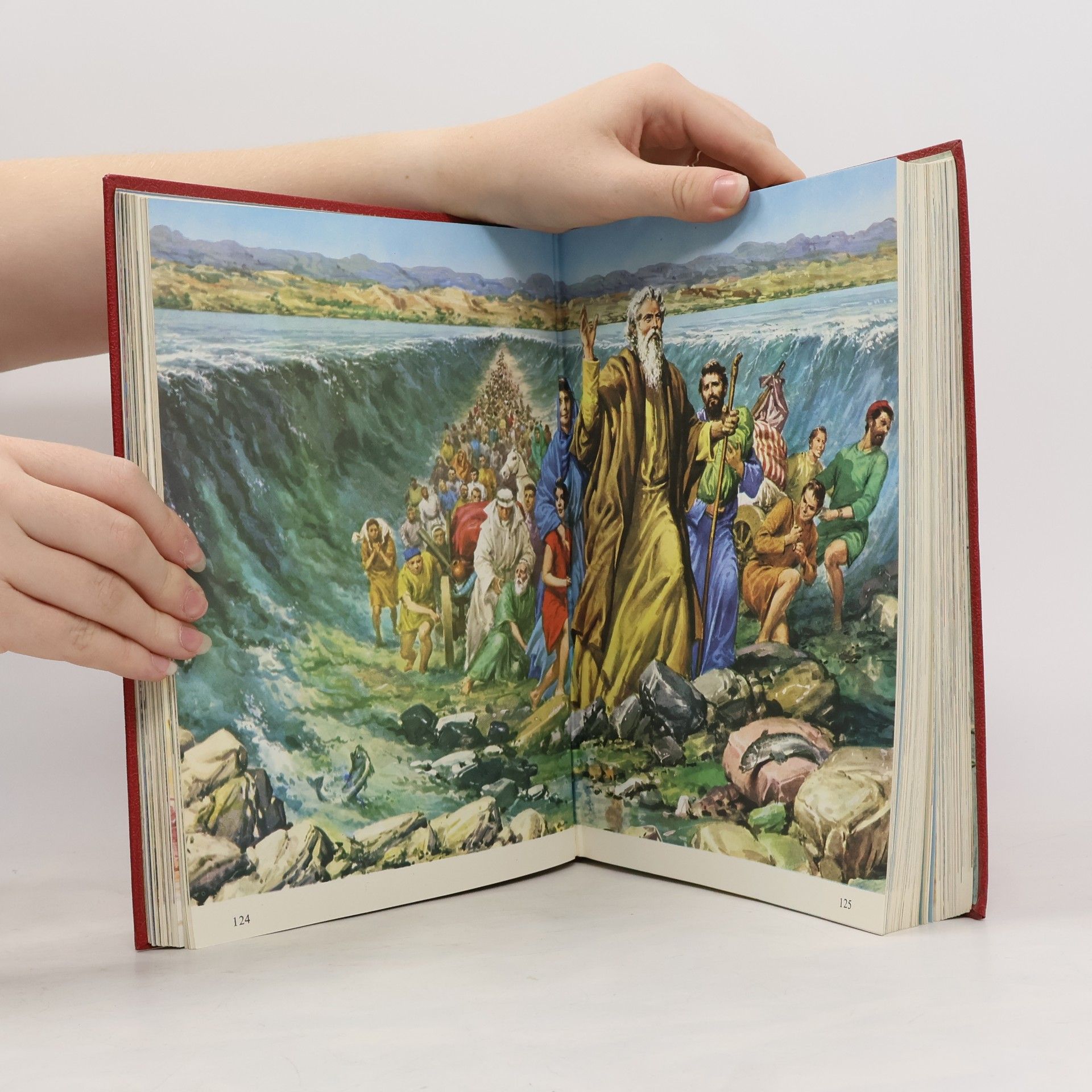 kolektiv Ilustrovaná Bible