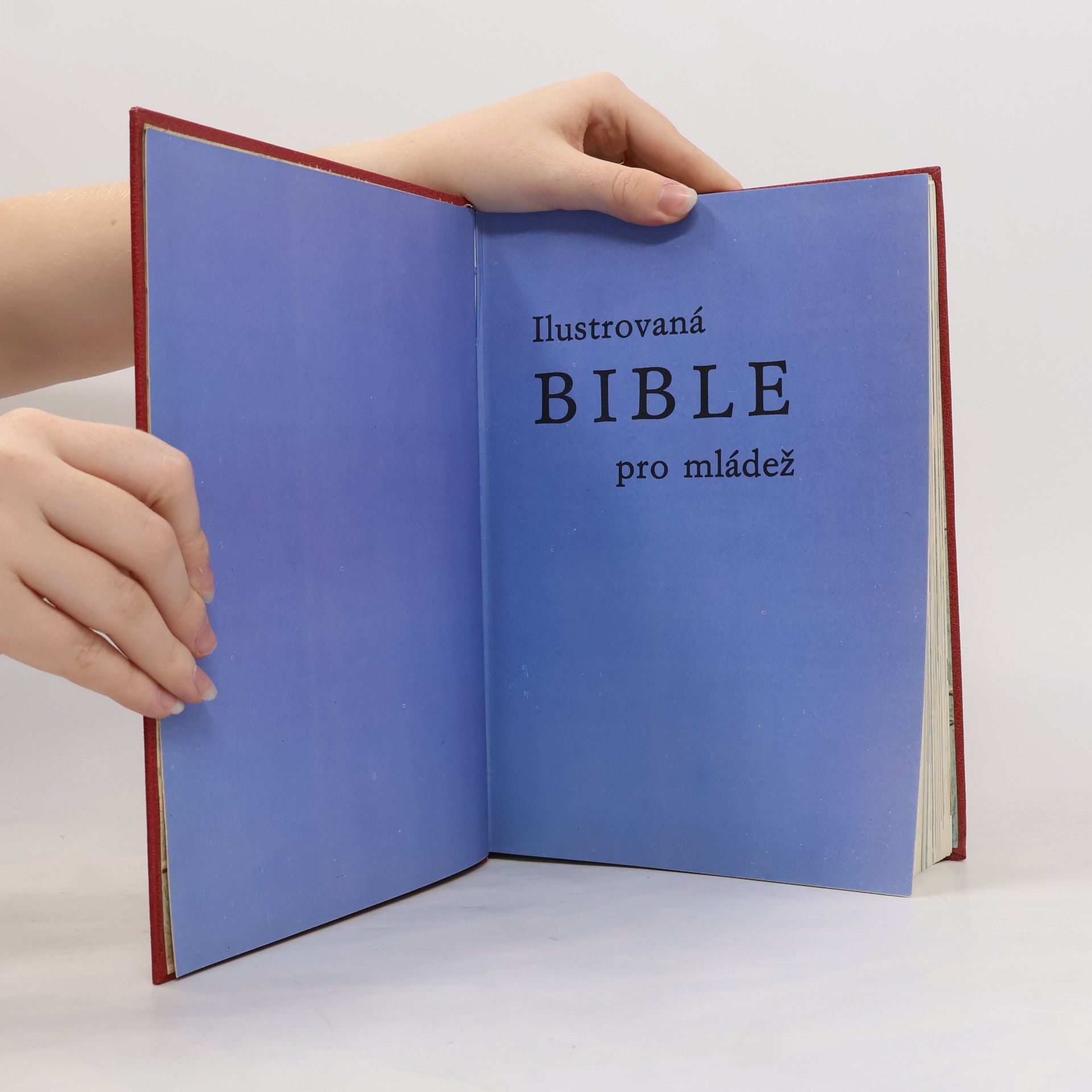 kolektiv Ilustrovaná Bible