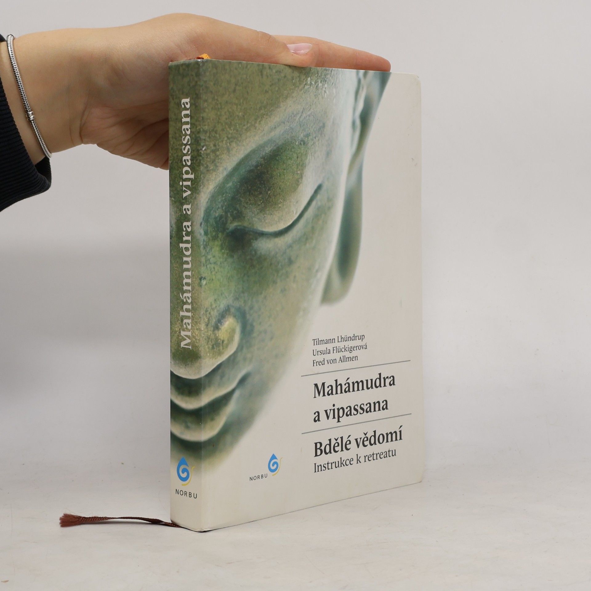 Mahámudra a vipassana - Bdělé vědomí