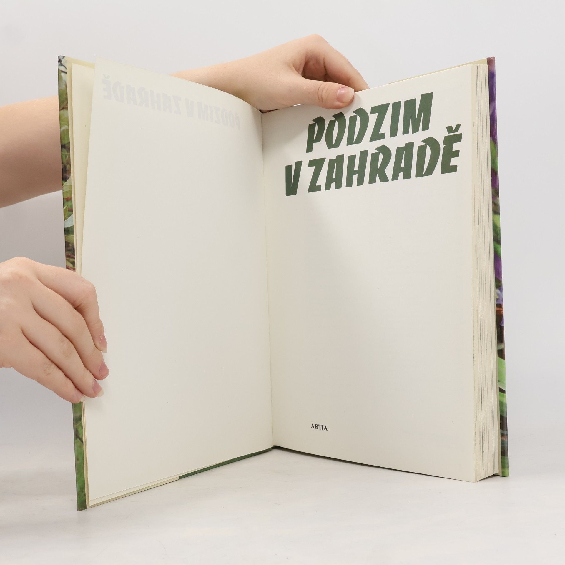 Karel Floss Podzim v zahradě