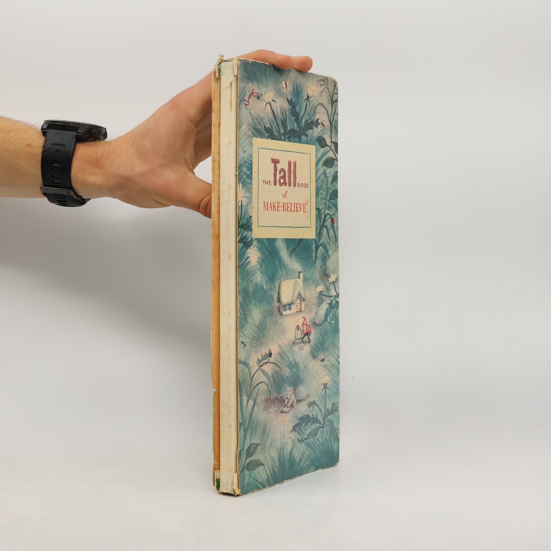 The Tall Book of Make-Believe, 