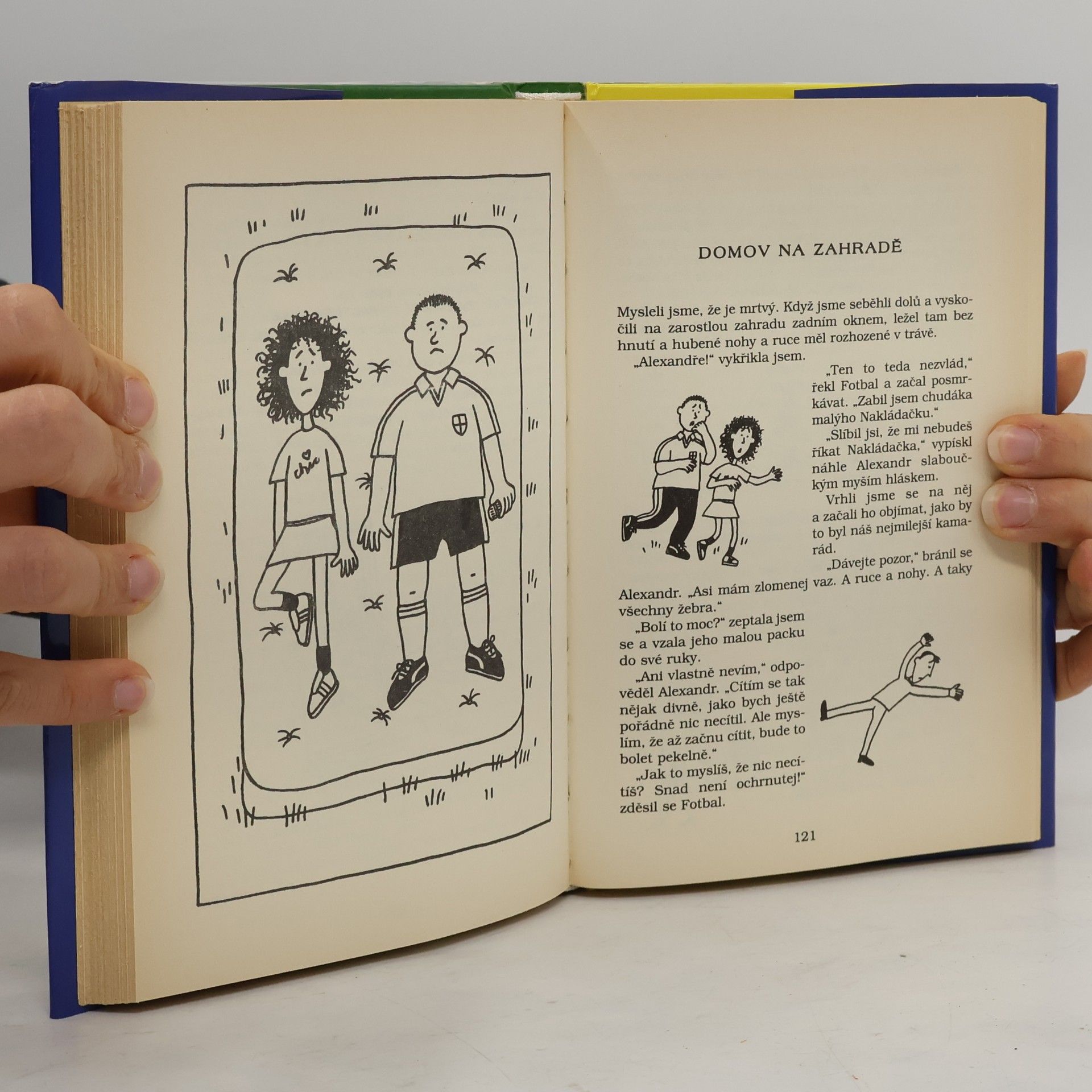 Jacqueline Wilson Všude dobře, doma nejlíp