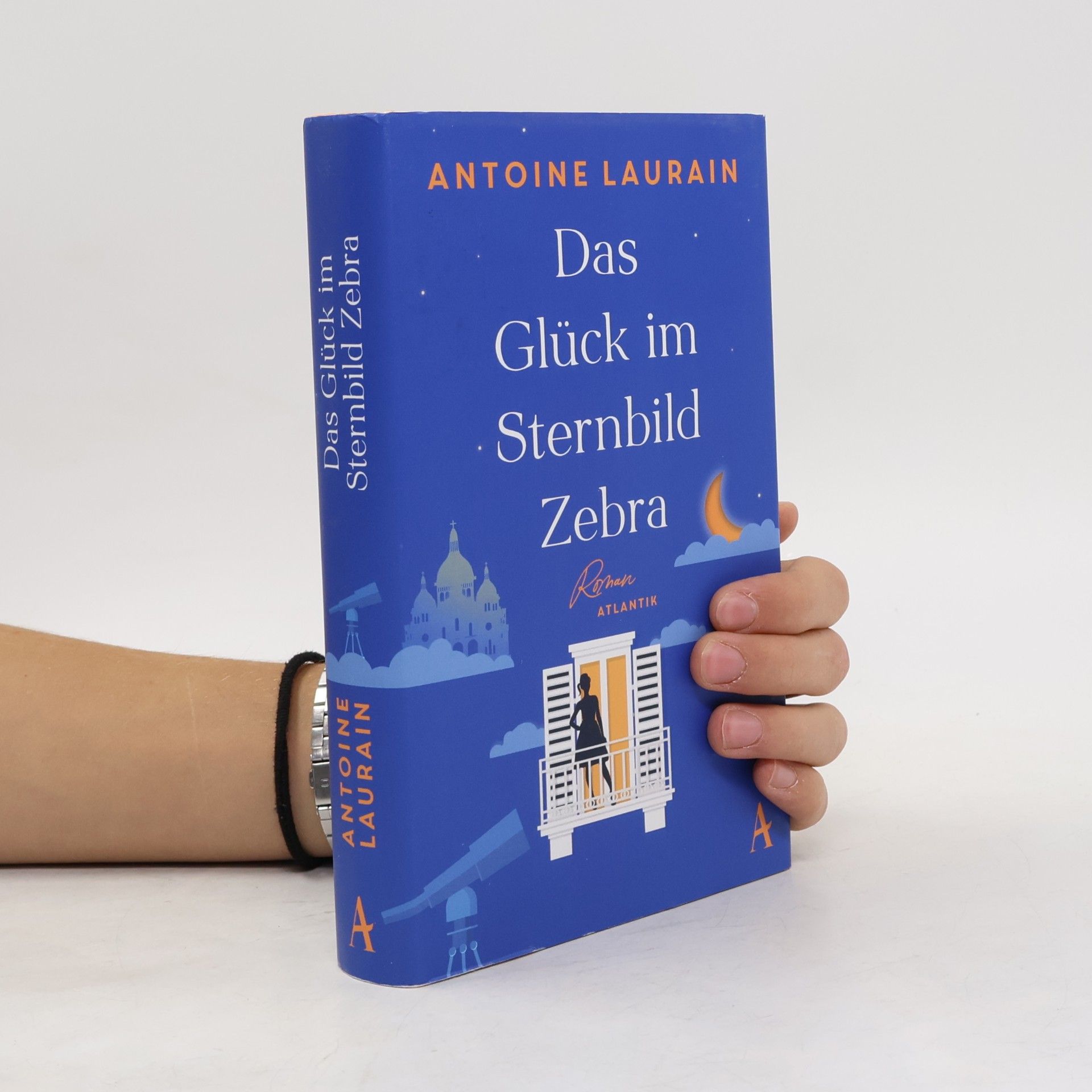 Antoine Laurain Das Glück im Sternbild Zebra