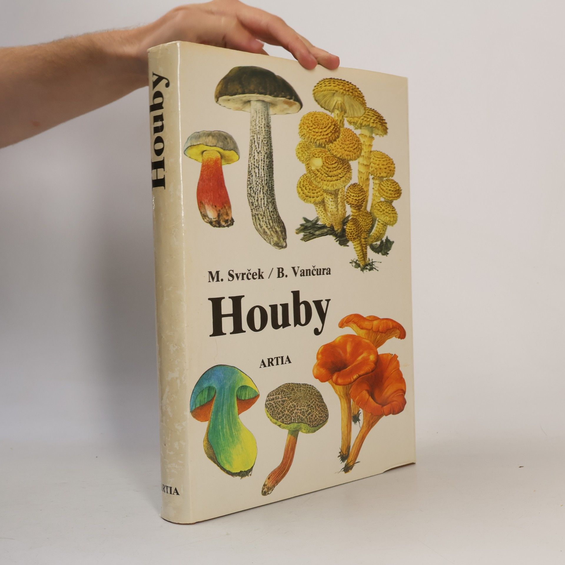 Houby