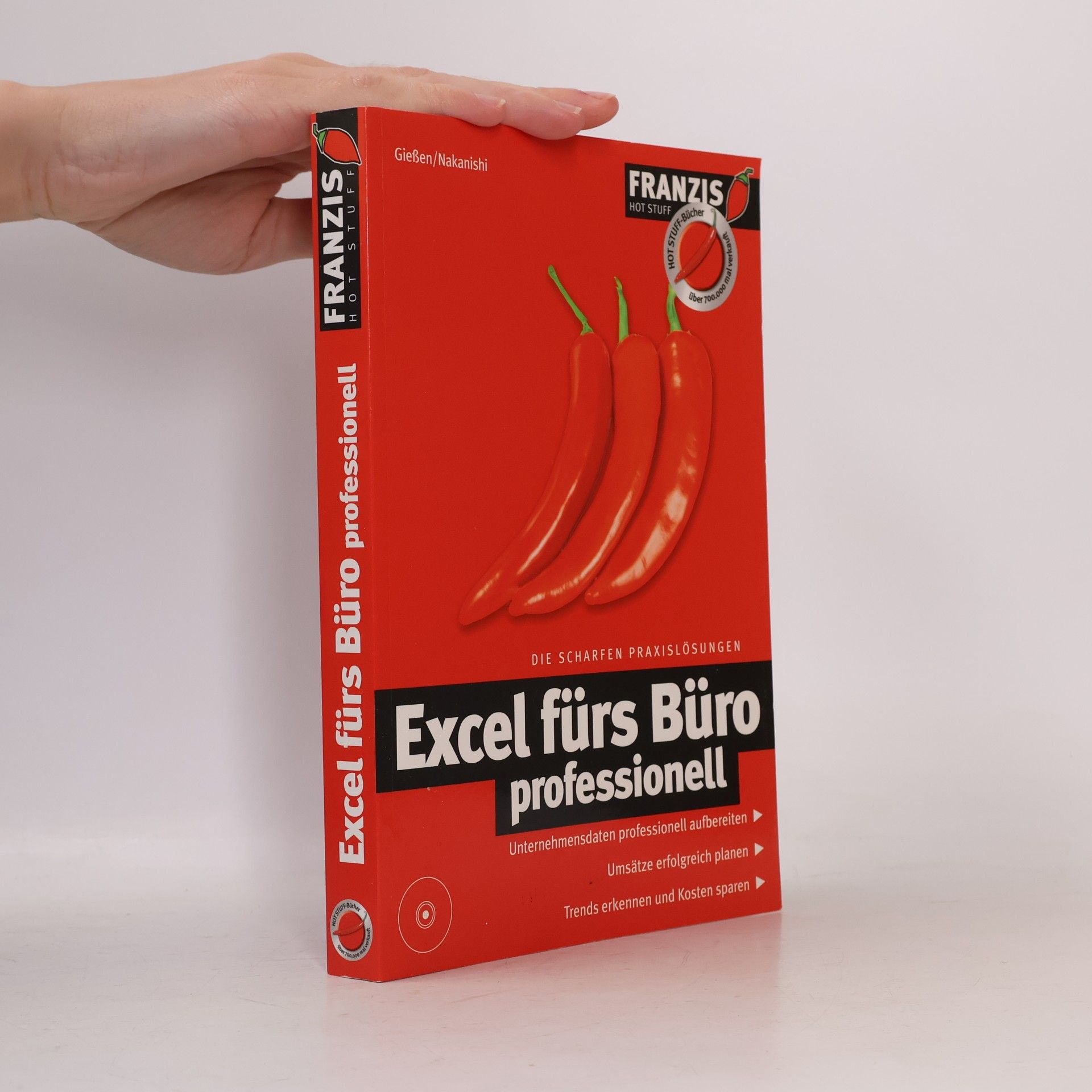 Gießen Hot Stuff: Excel fürs Büro professionell