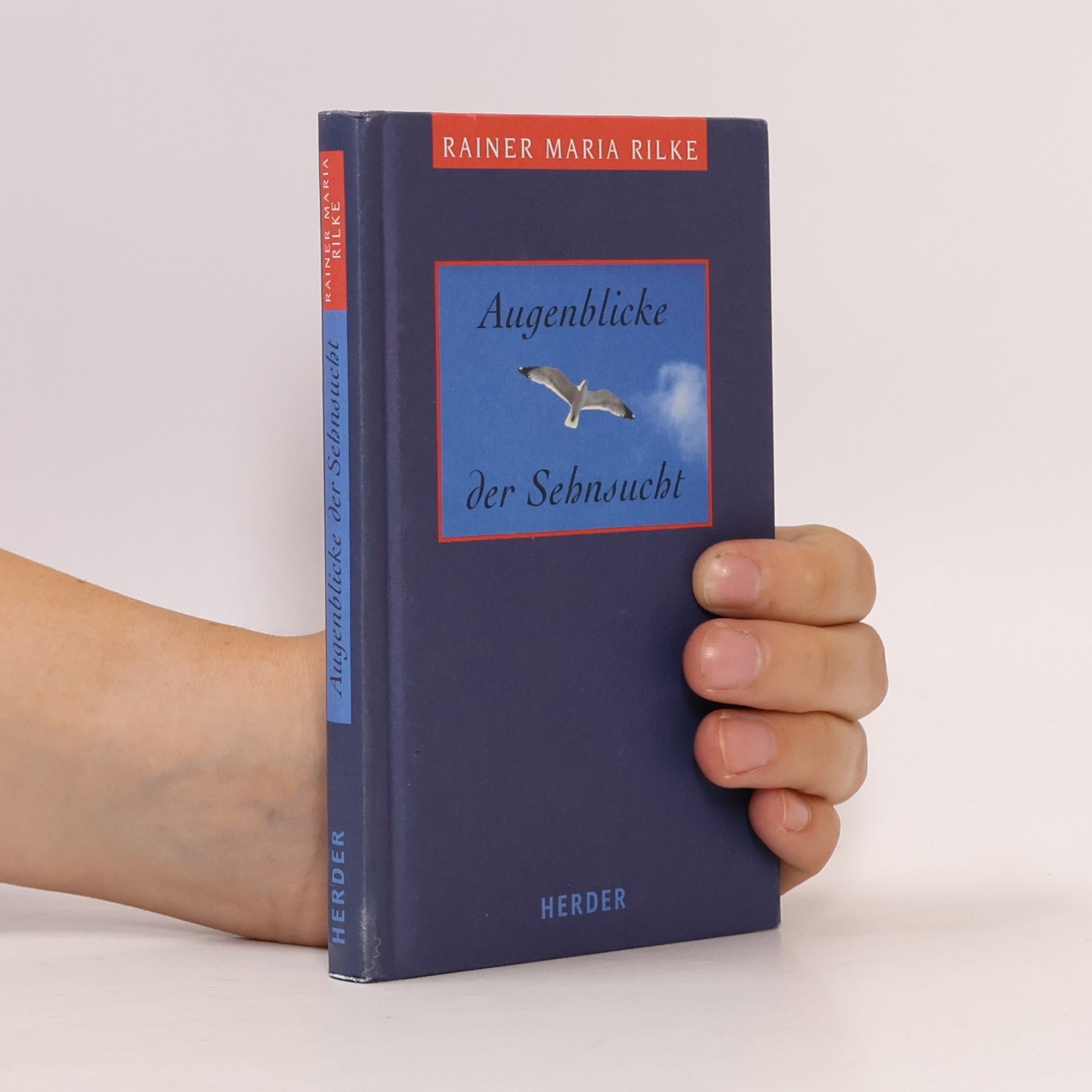 Augenblicke der Sehnsucht