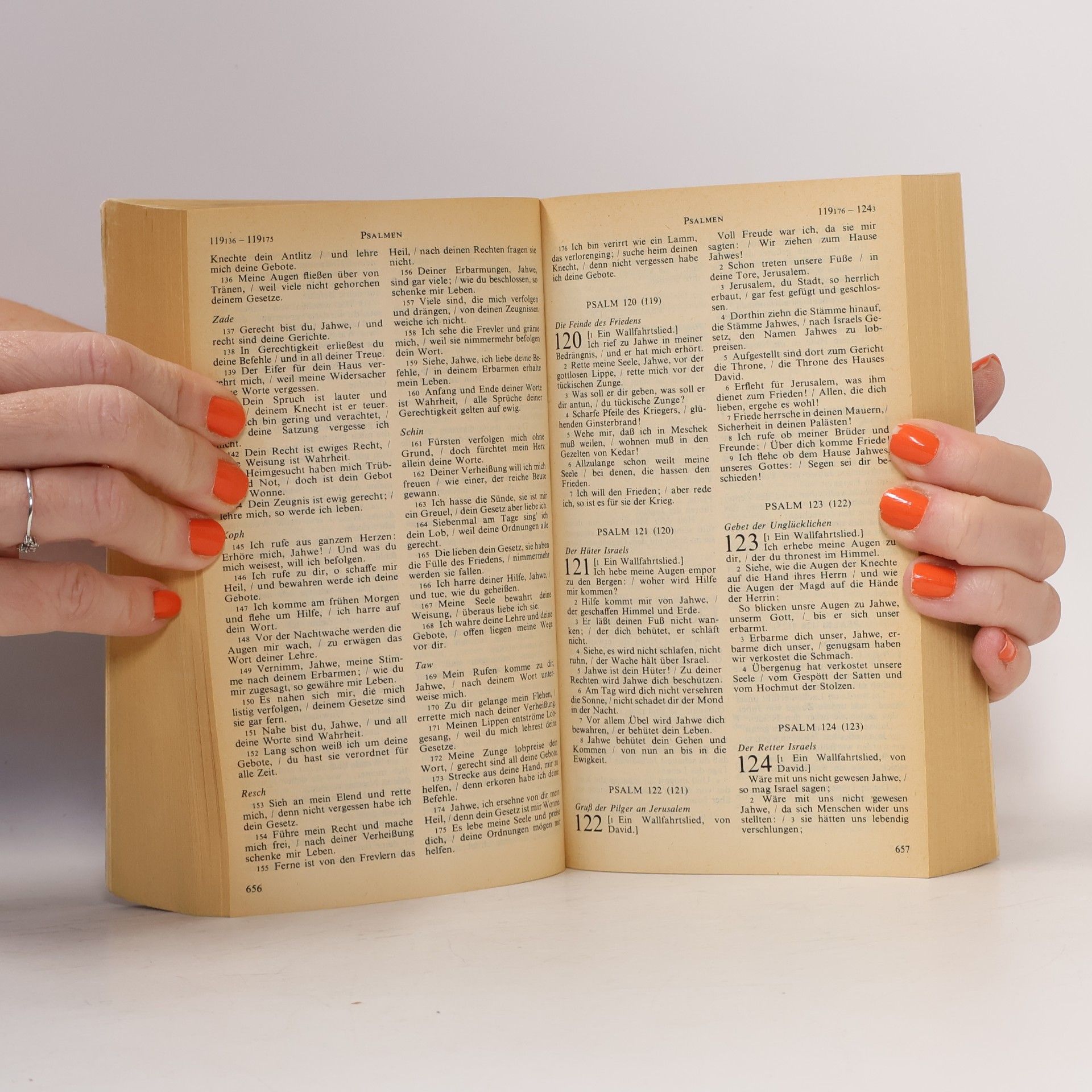 kolektiv Die Bibel