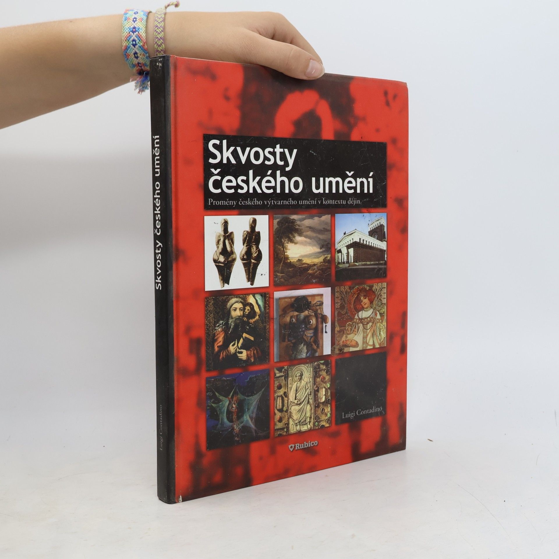 Luigi Contadino Skvosty českého umění : proměny českého výtvarného umění v kontextu dějin