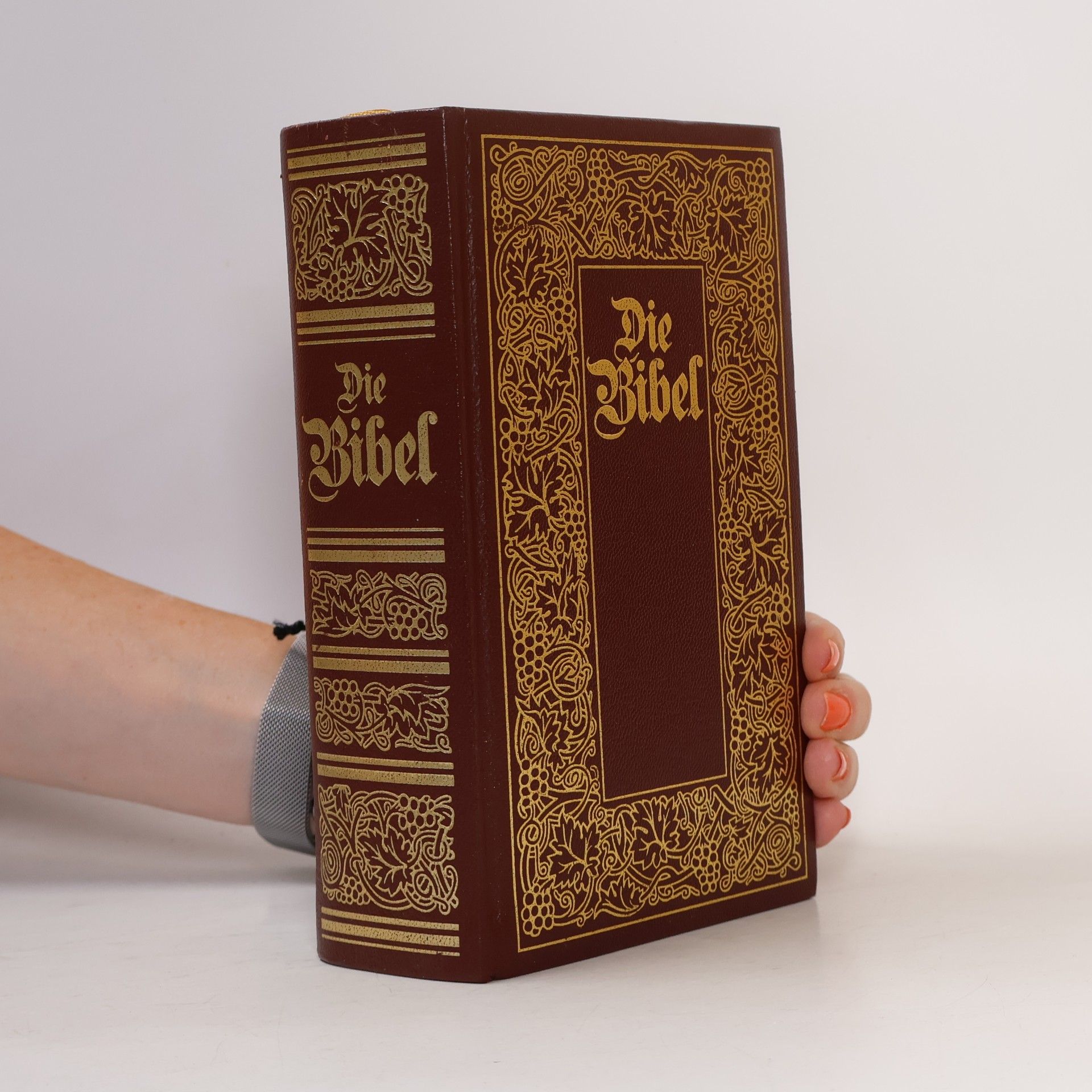 kolektiv Die Bibel