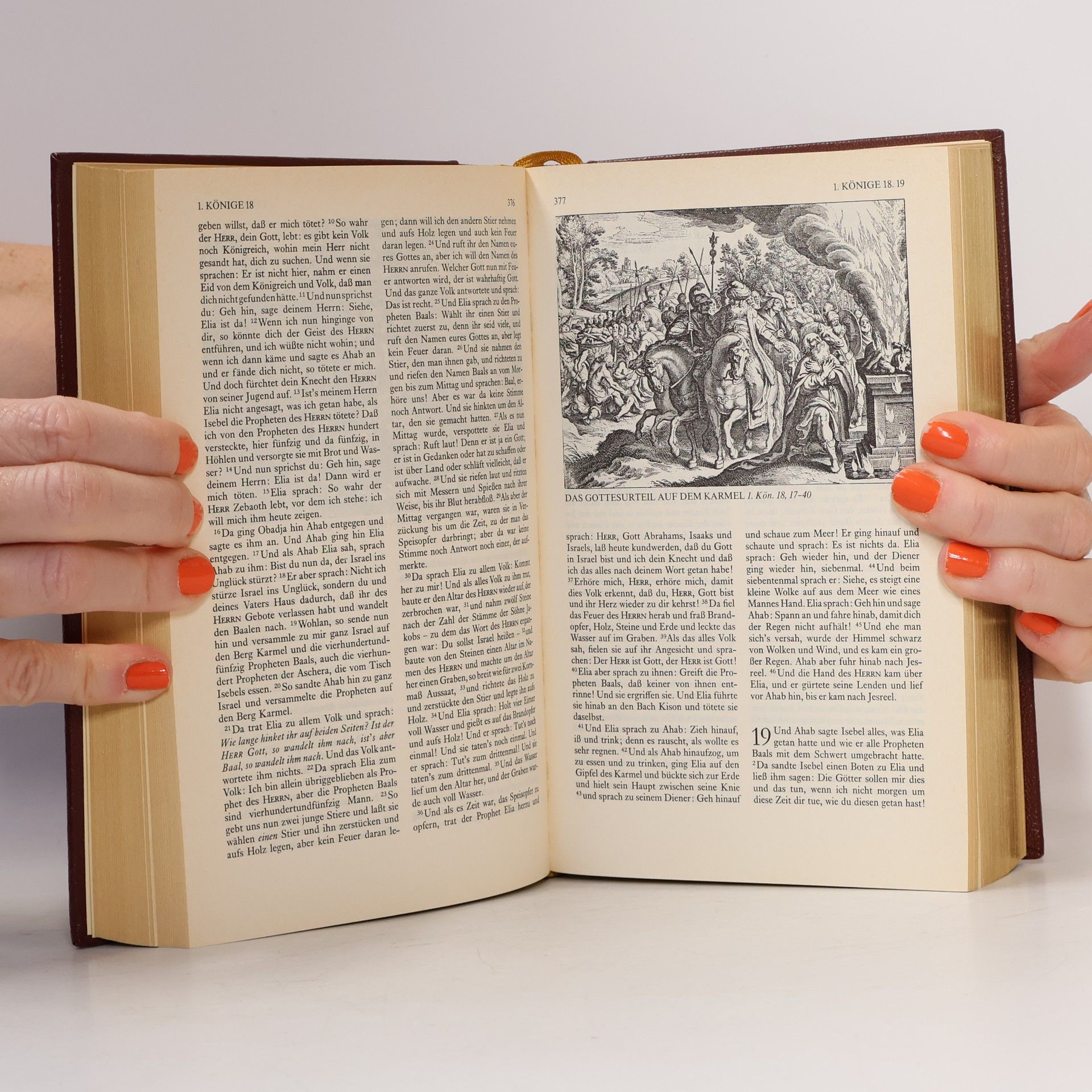 kolektiv Die Bibel