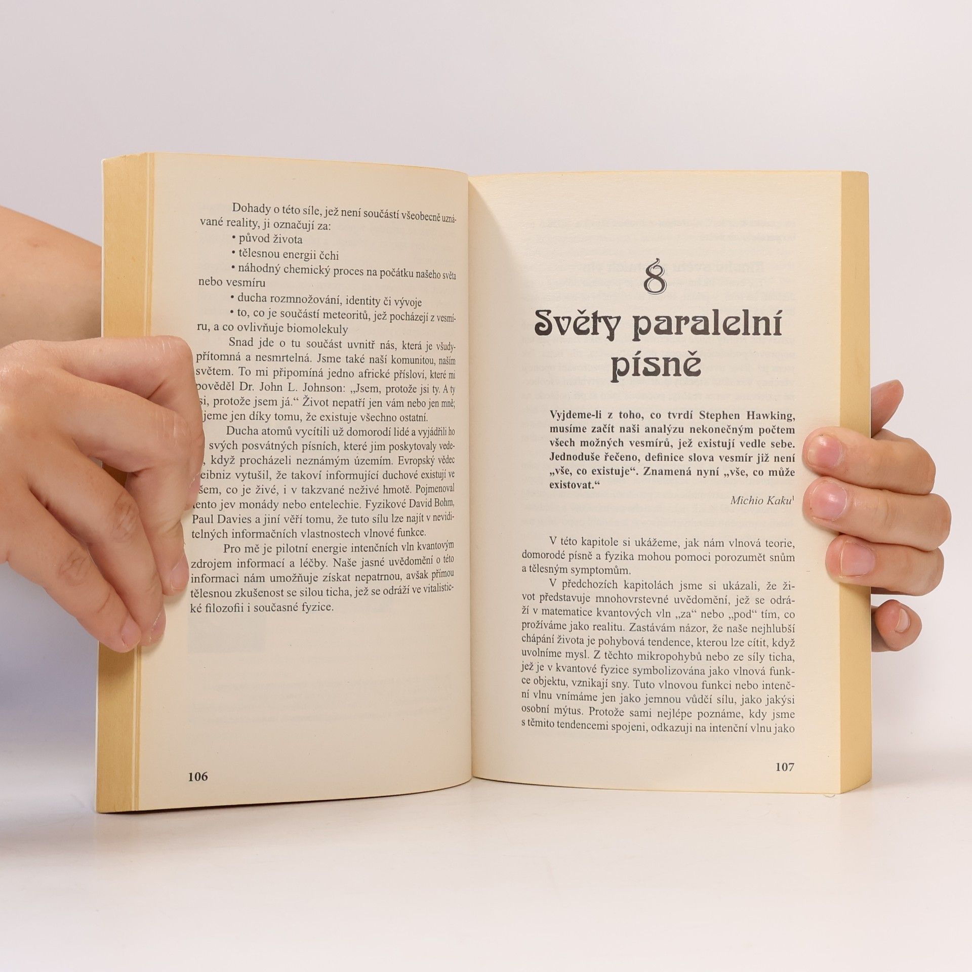 Arnold Mindell Kvantová mysl a léčba