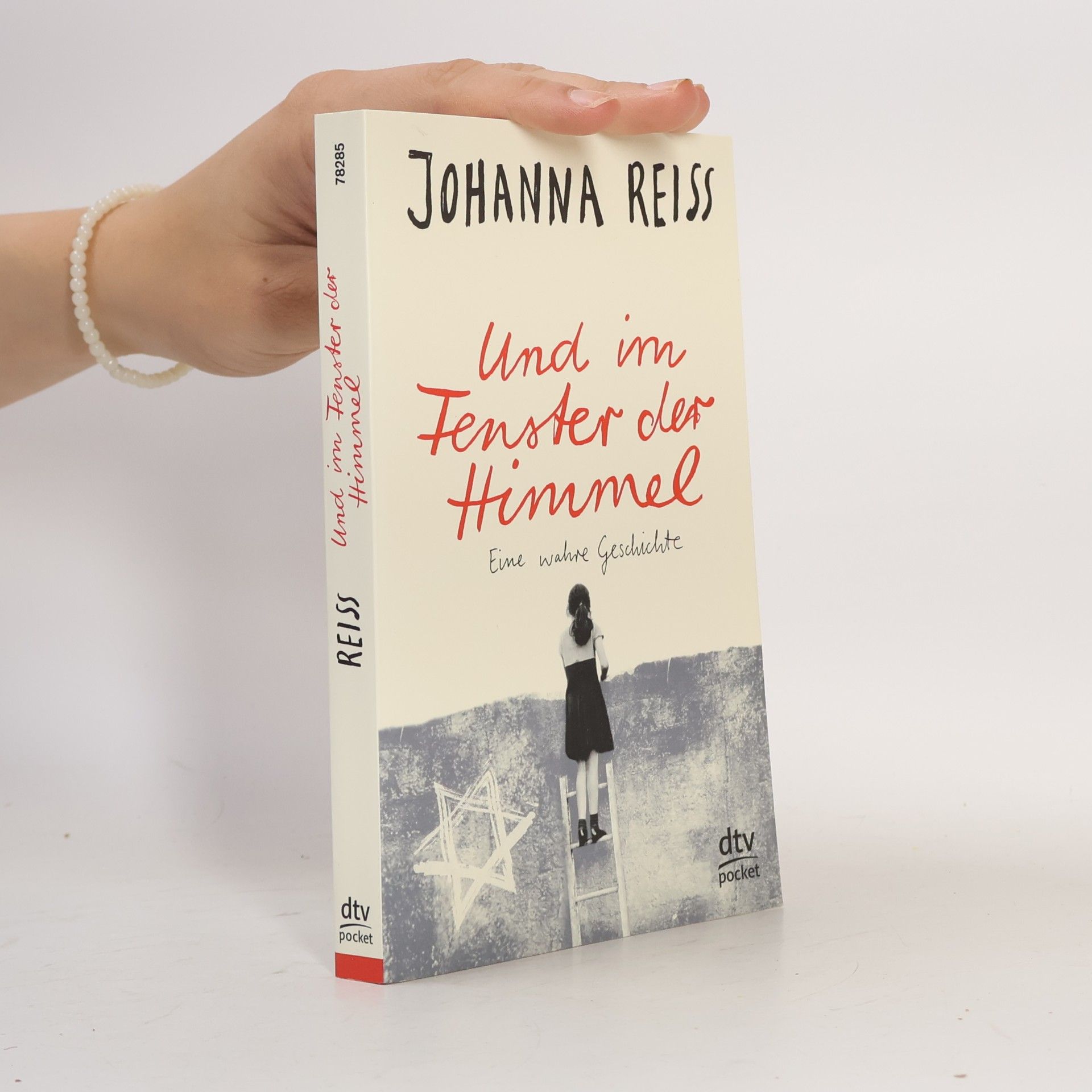 Johanna Reiss Und im Fenster der Himmel