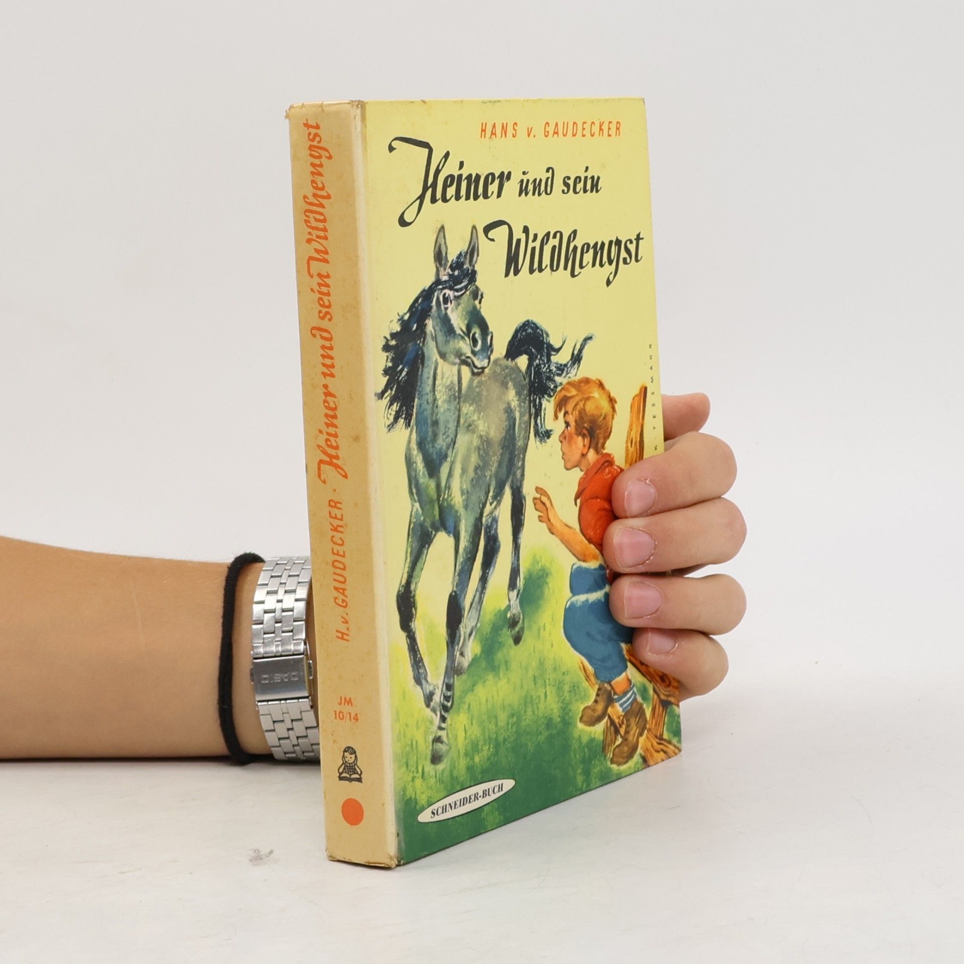 Hans von Gaudecker Heiner Und Sein Wildhengst
