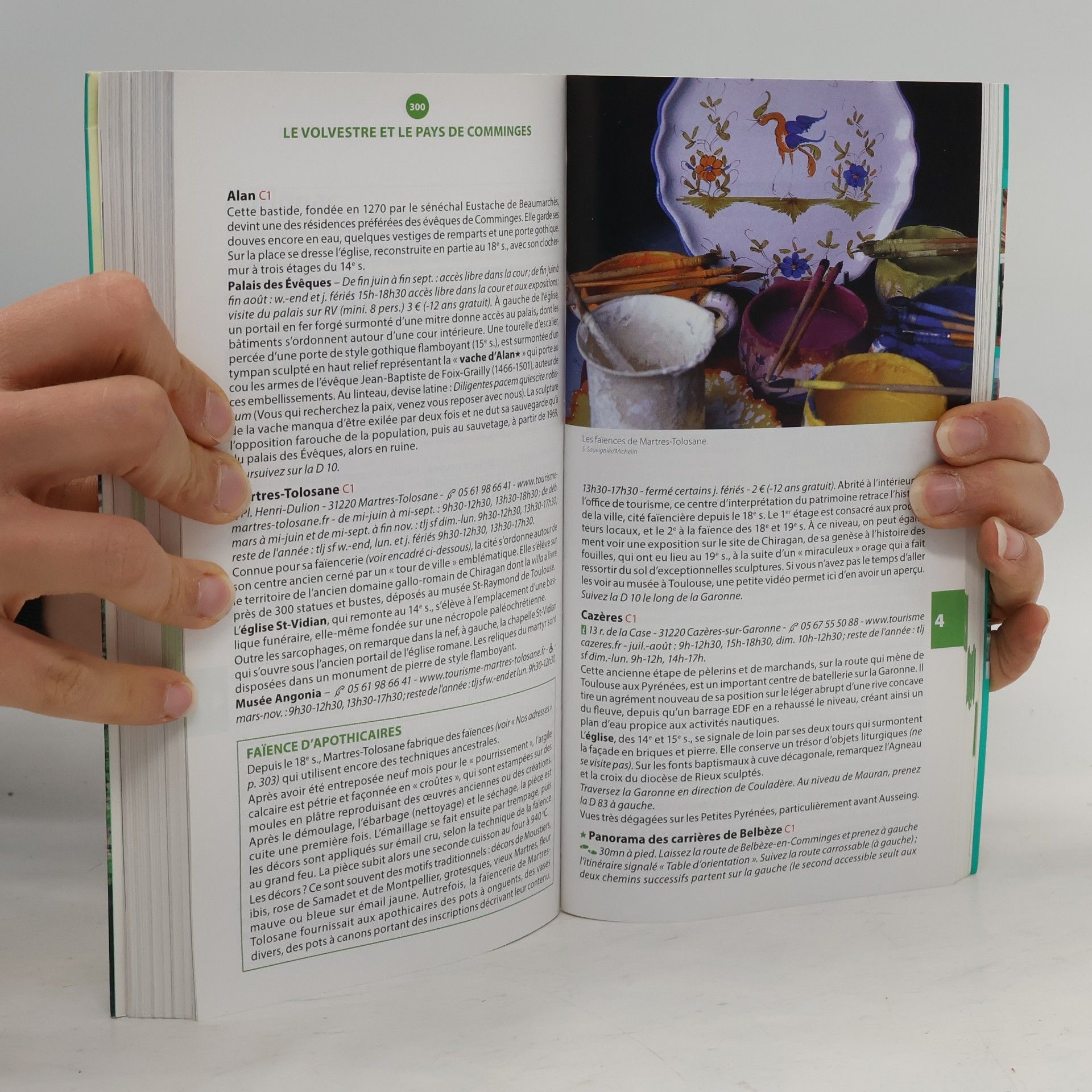 kolektiv Michelin Le Guide Vert Pyrénées, Toulouse Gers