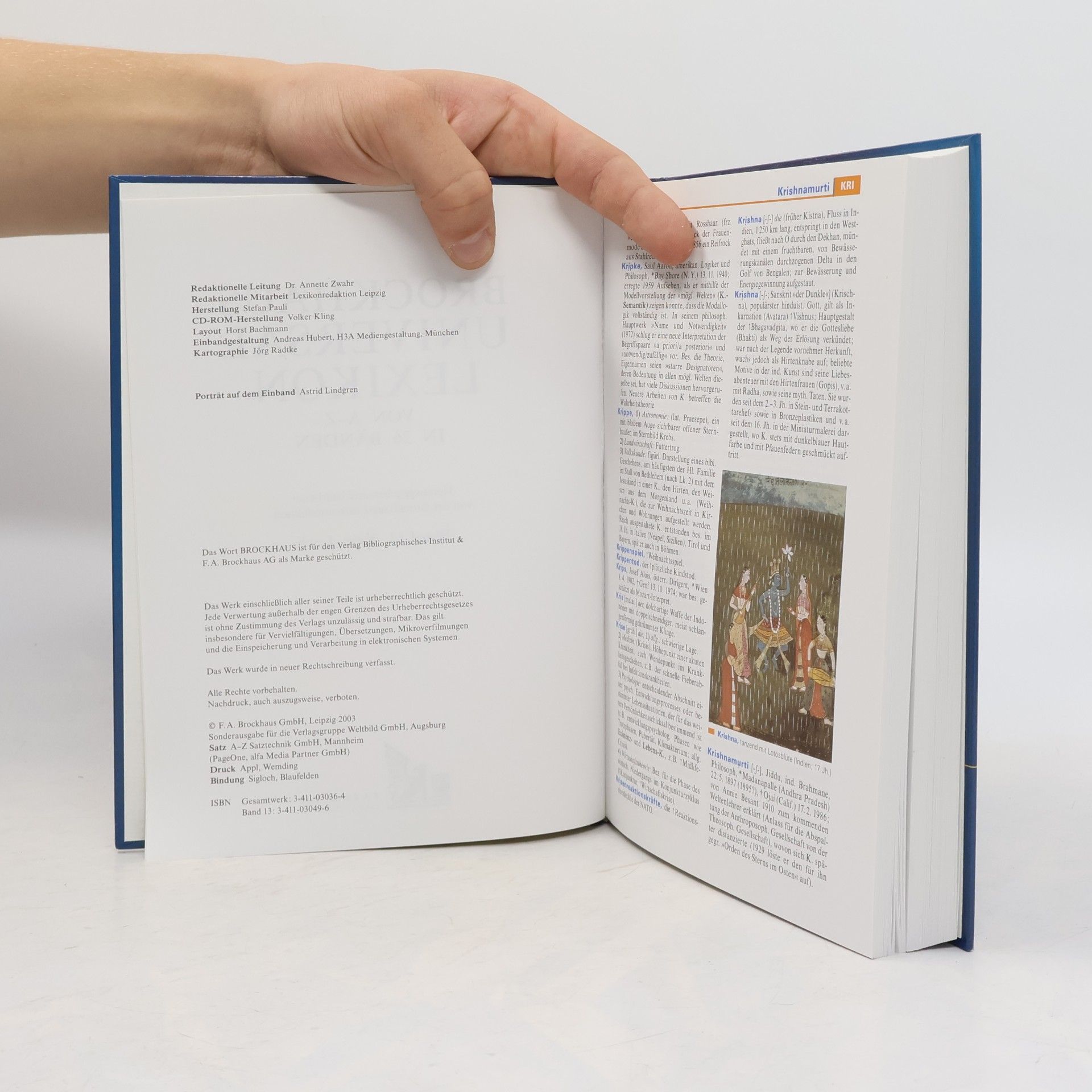 kolektiv Brockhaus Universal Lexikon 13