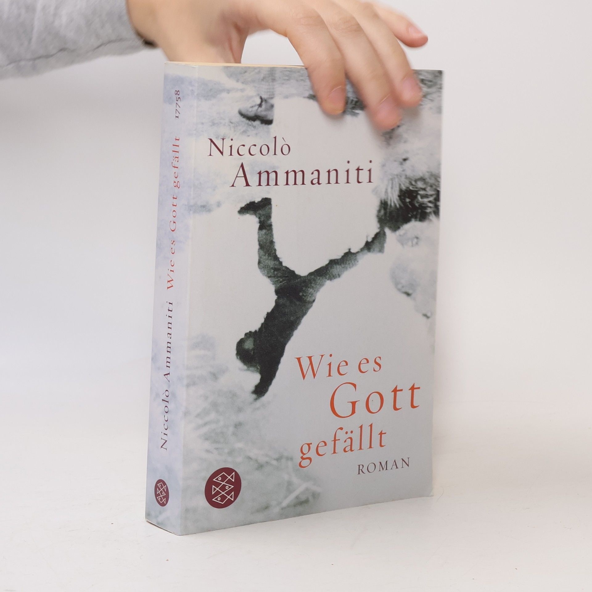 Niccolo Ammaniti Wie es Gott gefällt