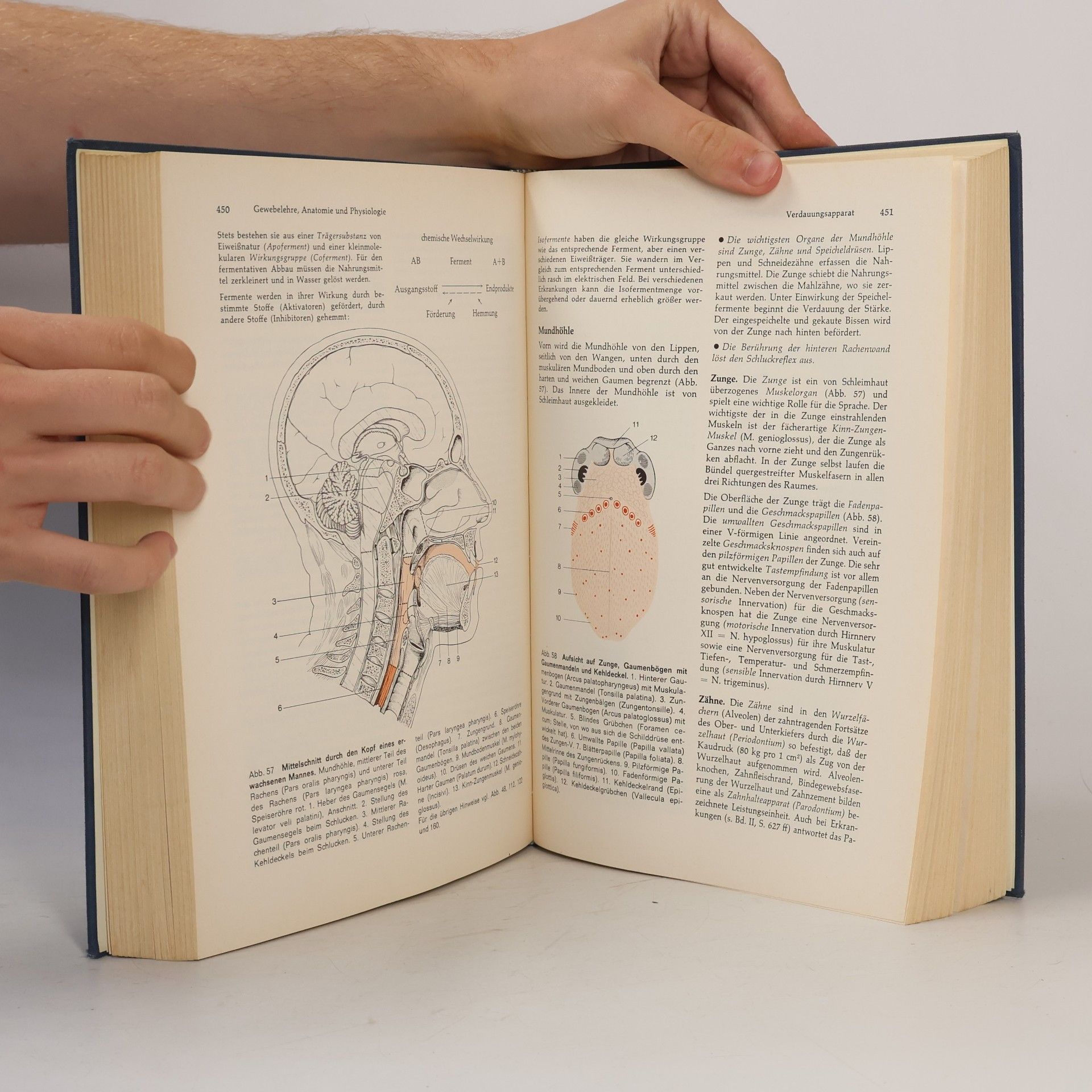 Walter Bachmann Lehrbuch für Krankenschwestern und Krankenpfleger