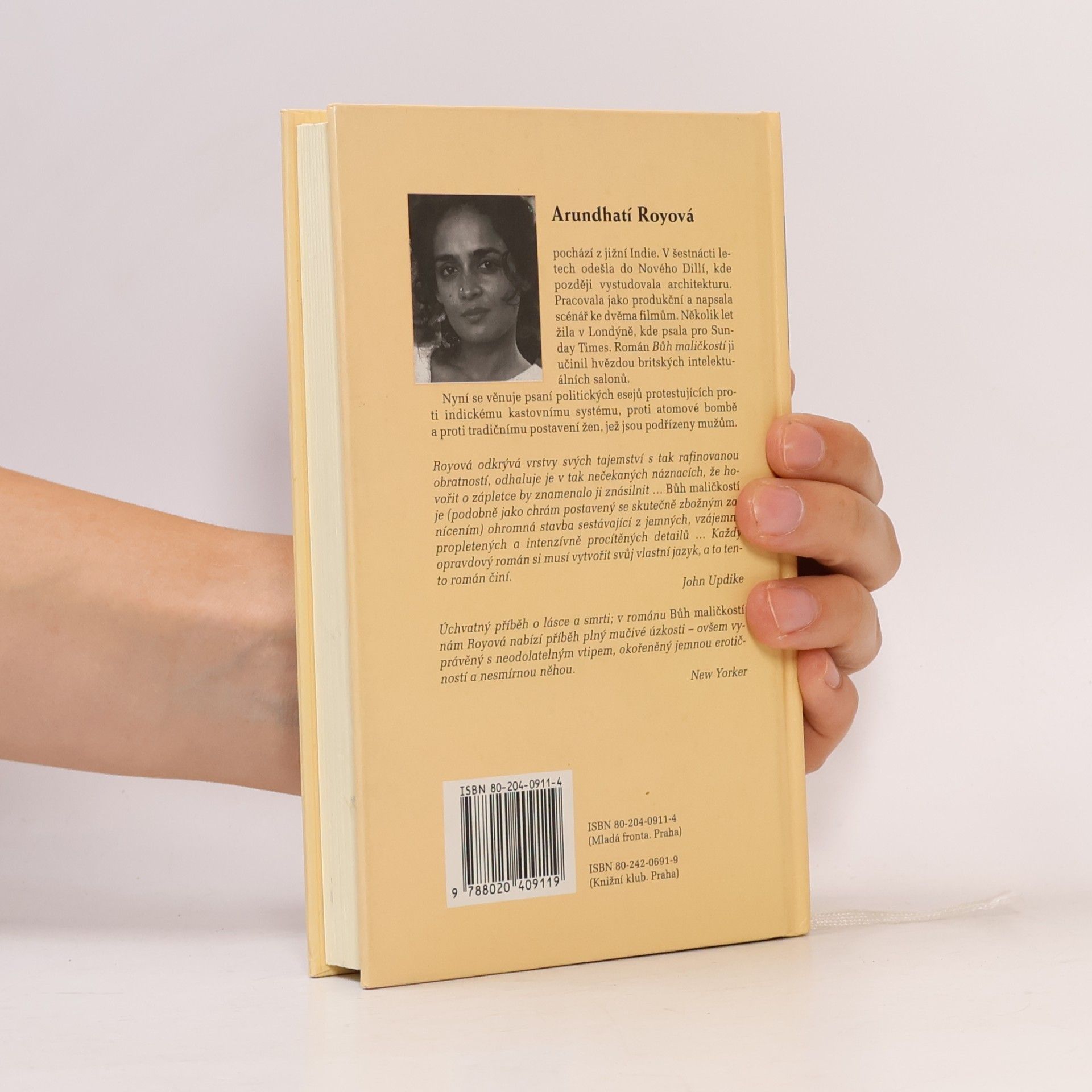 Arundhati Roy Bůh maličkostí