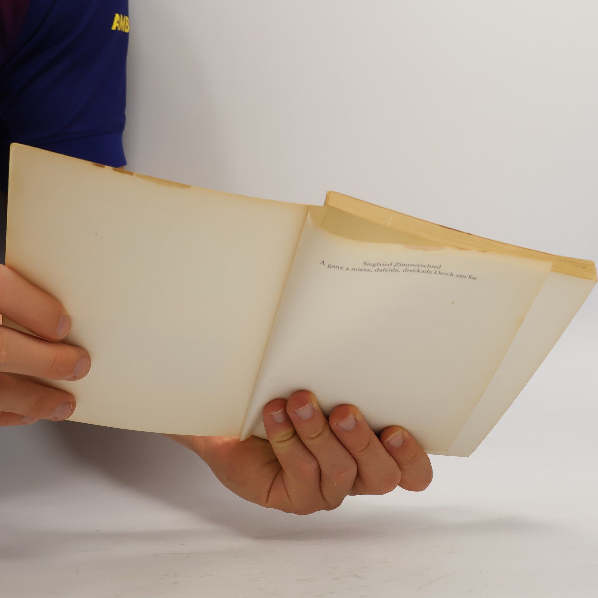 Siegfried Zimmerschied A ganz a miesa, dafeida, dreckada Dreck san Sie