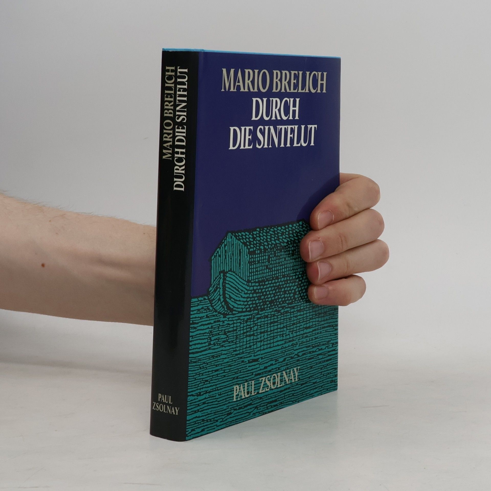 Durch die Sintflut: Roman