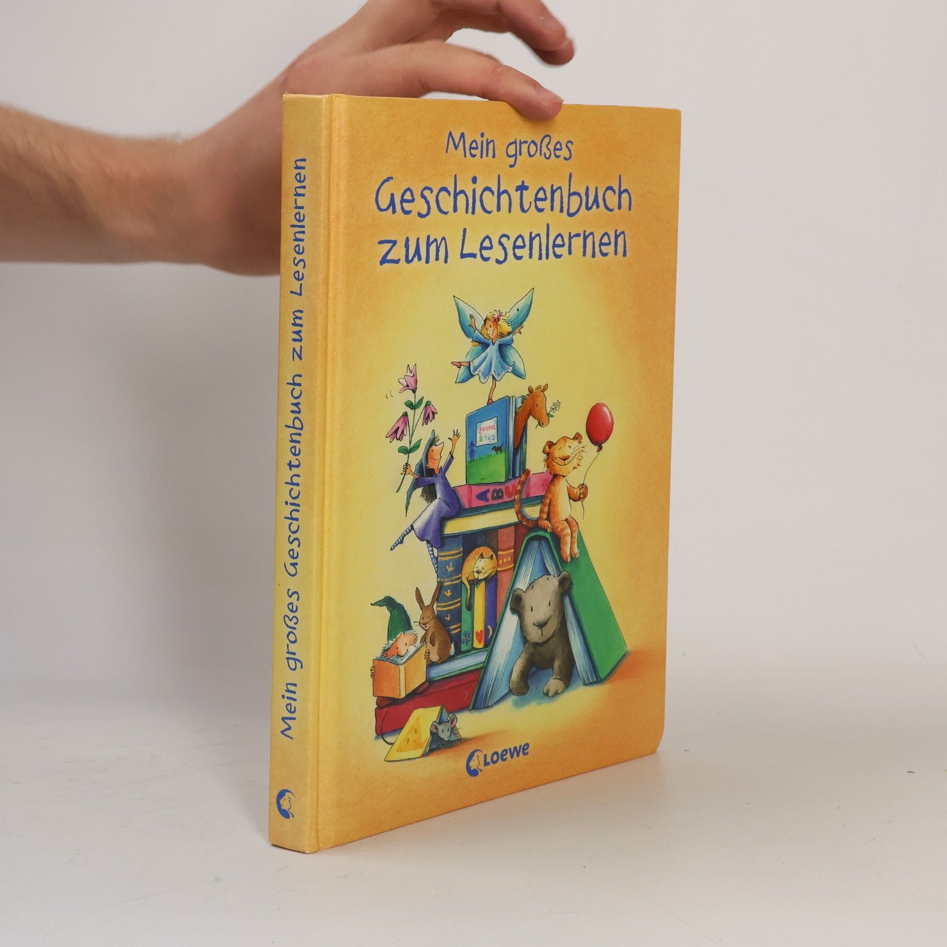 Various authors Mein großes Geschichtenbuch zum Lesenlernen