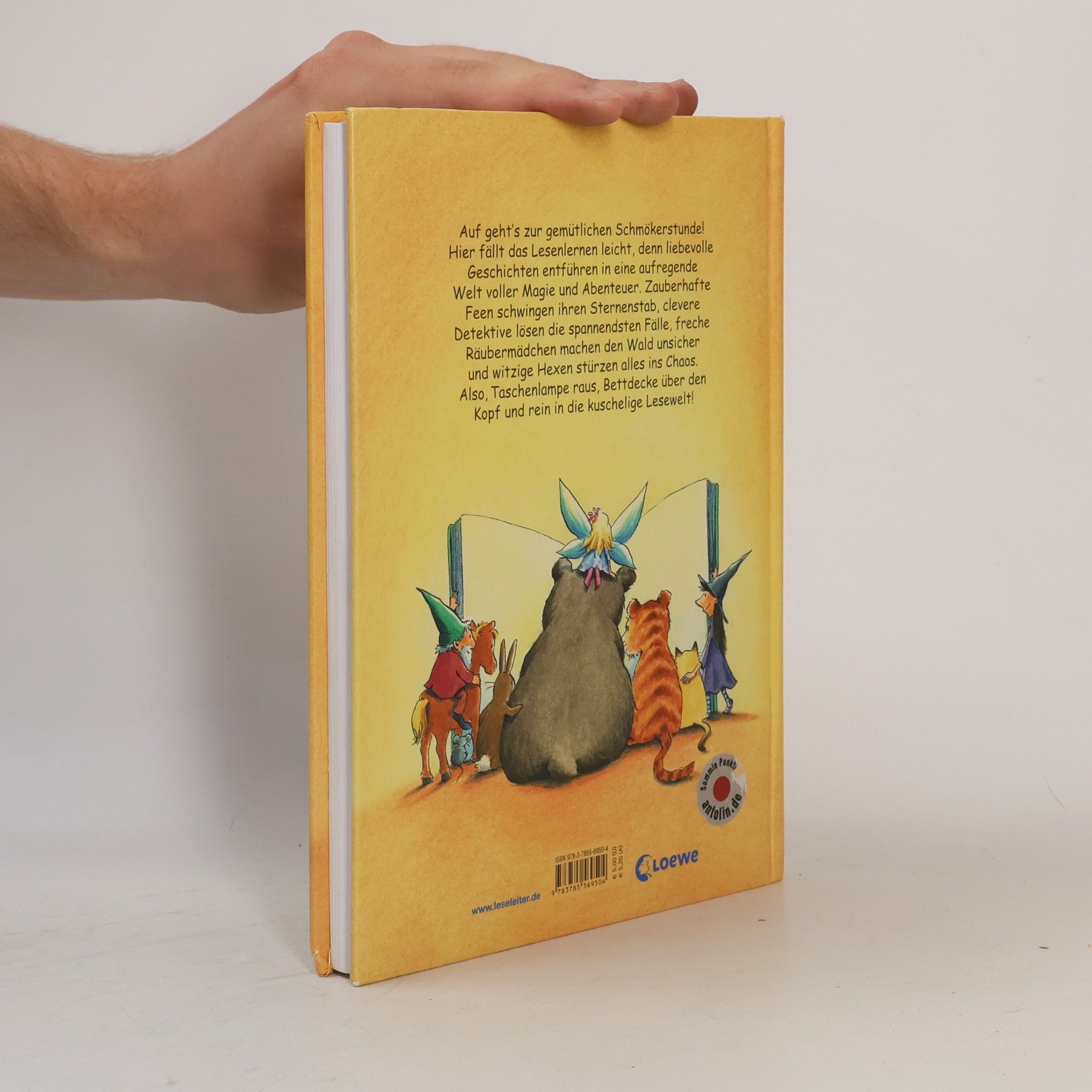 Mein großes Geschichtenbuch zum Lesenlernen
