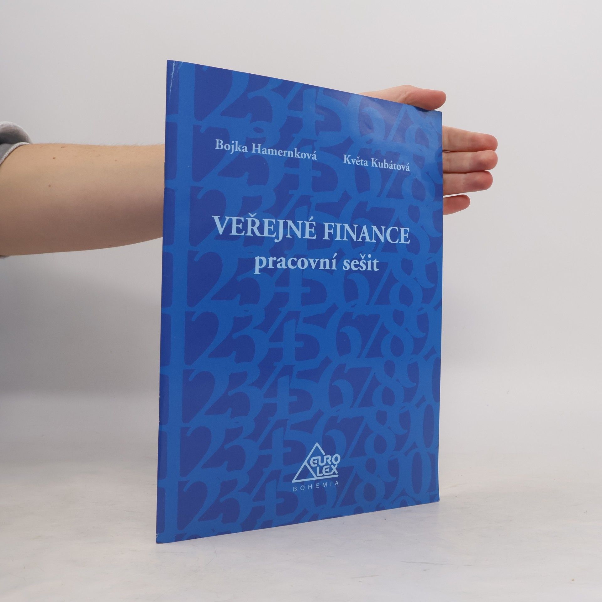 Veřejné finance - pracovní sešit