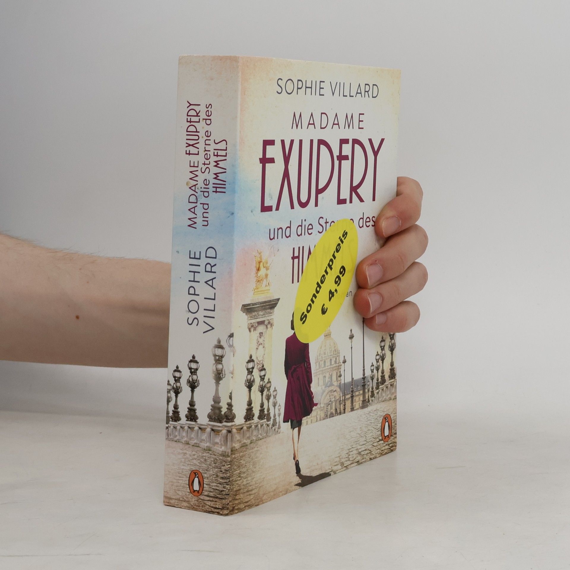 Sophie Villard Madame Exupéry und die Sterne des Himmels
