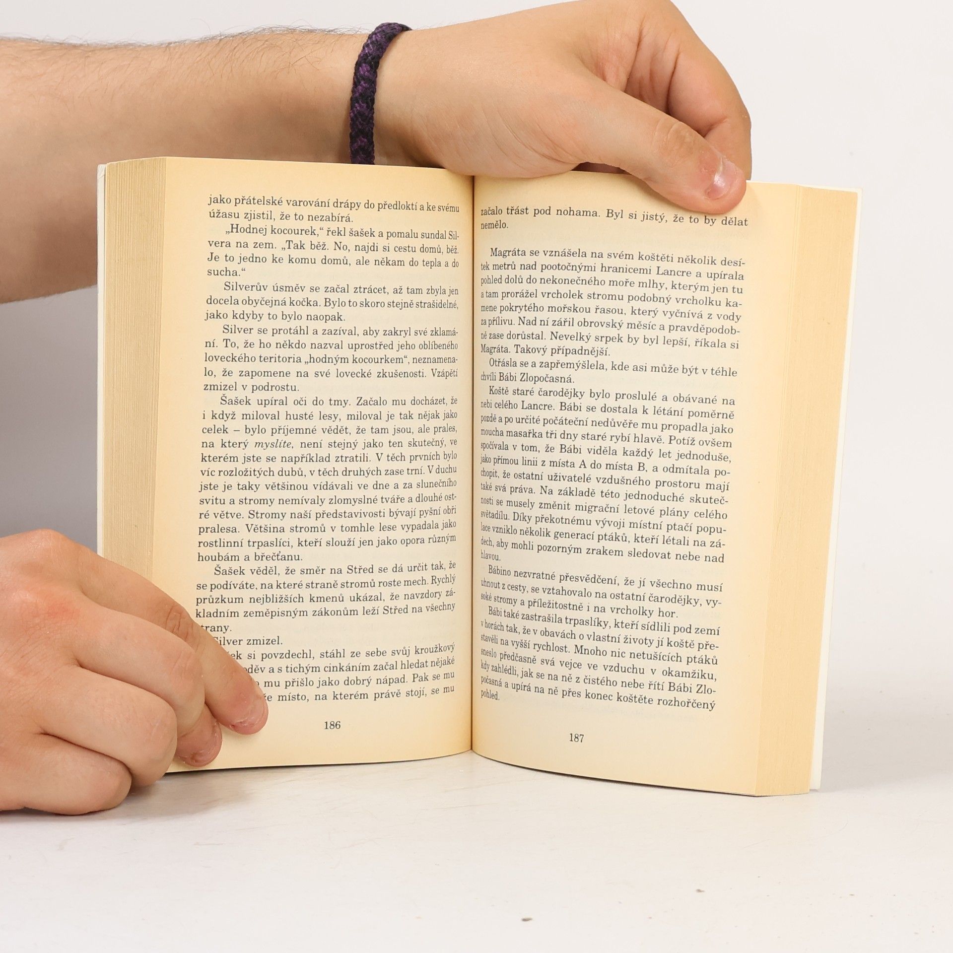 Terry Pratchett Soudné sestry