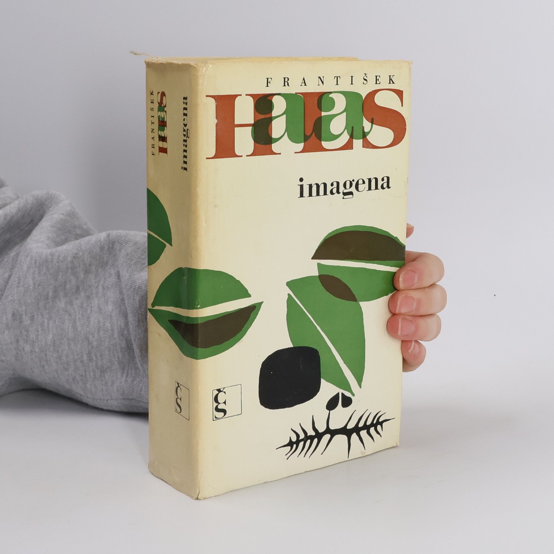 Imagena
