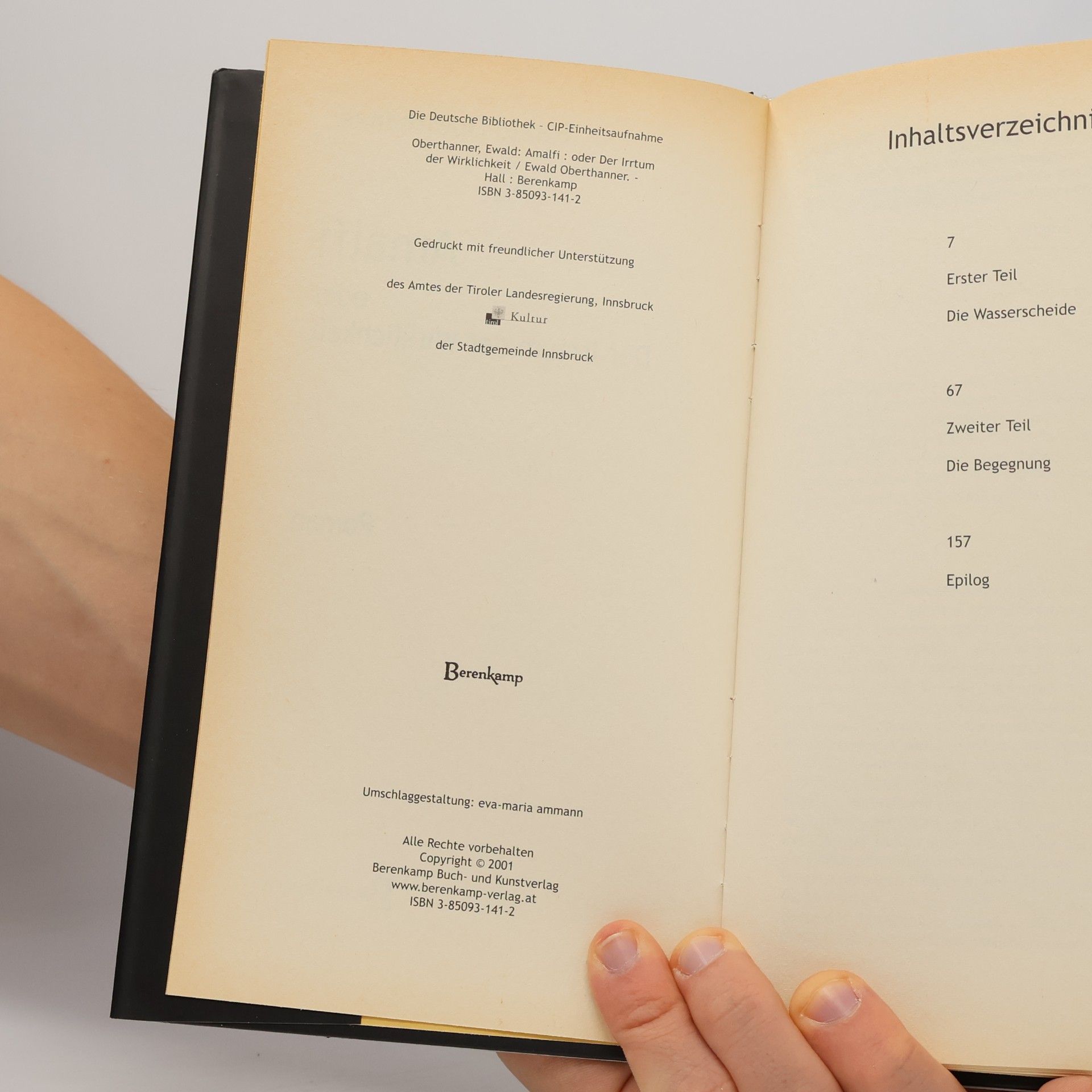 Ewald Oberthanner Amalfi, oder, Der Irrtum der Wirklichkeit