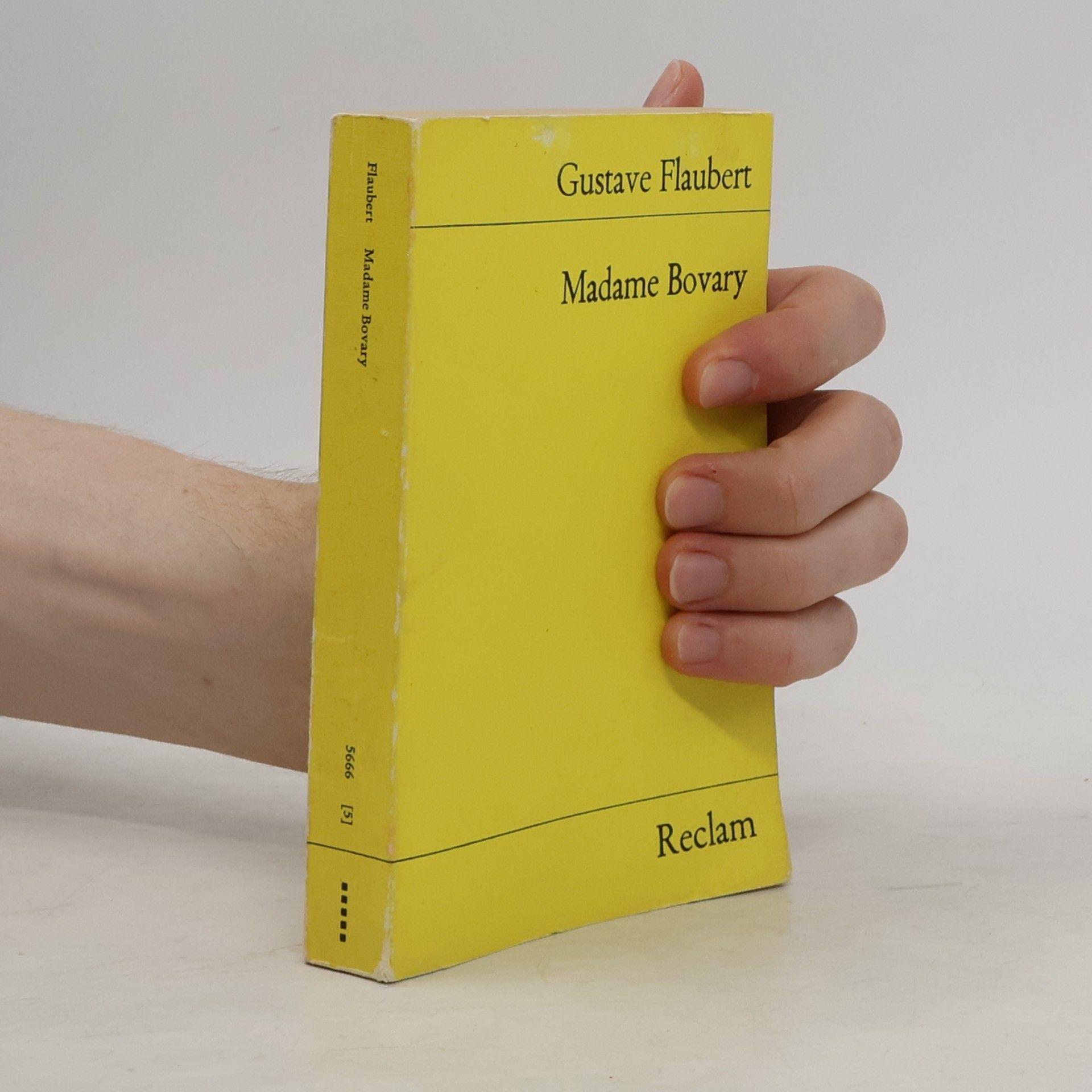 Gustave Flaubert Madame Bovary