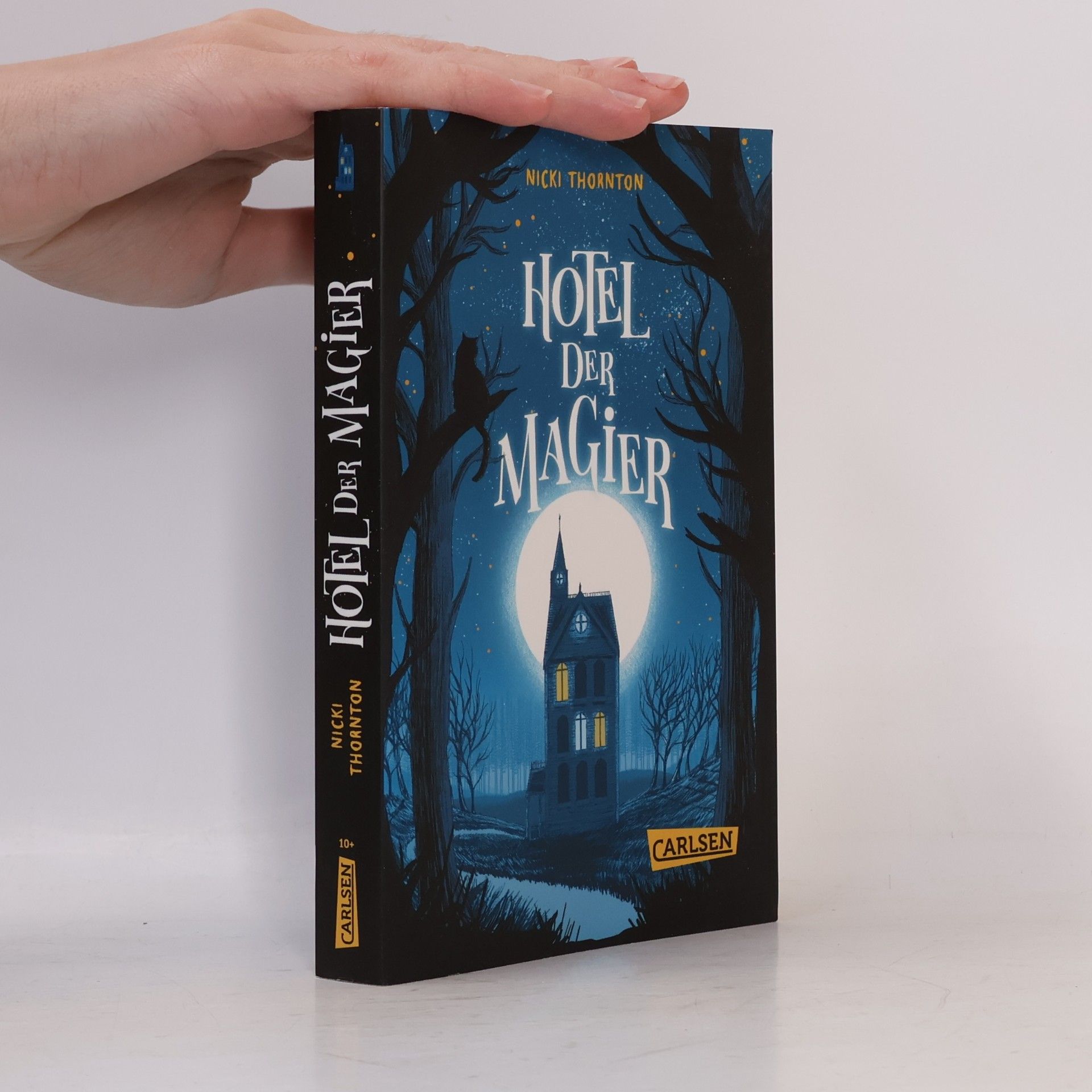 Nicki Thornton Hotel der Magier (Hotel der Magier 1)