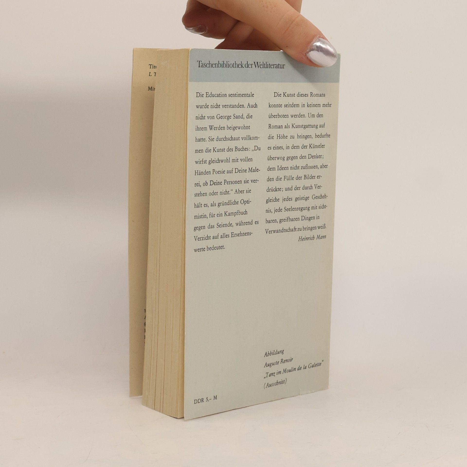 Gustave Flaubert Die Erziehung Der Gefühle