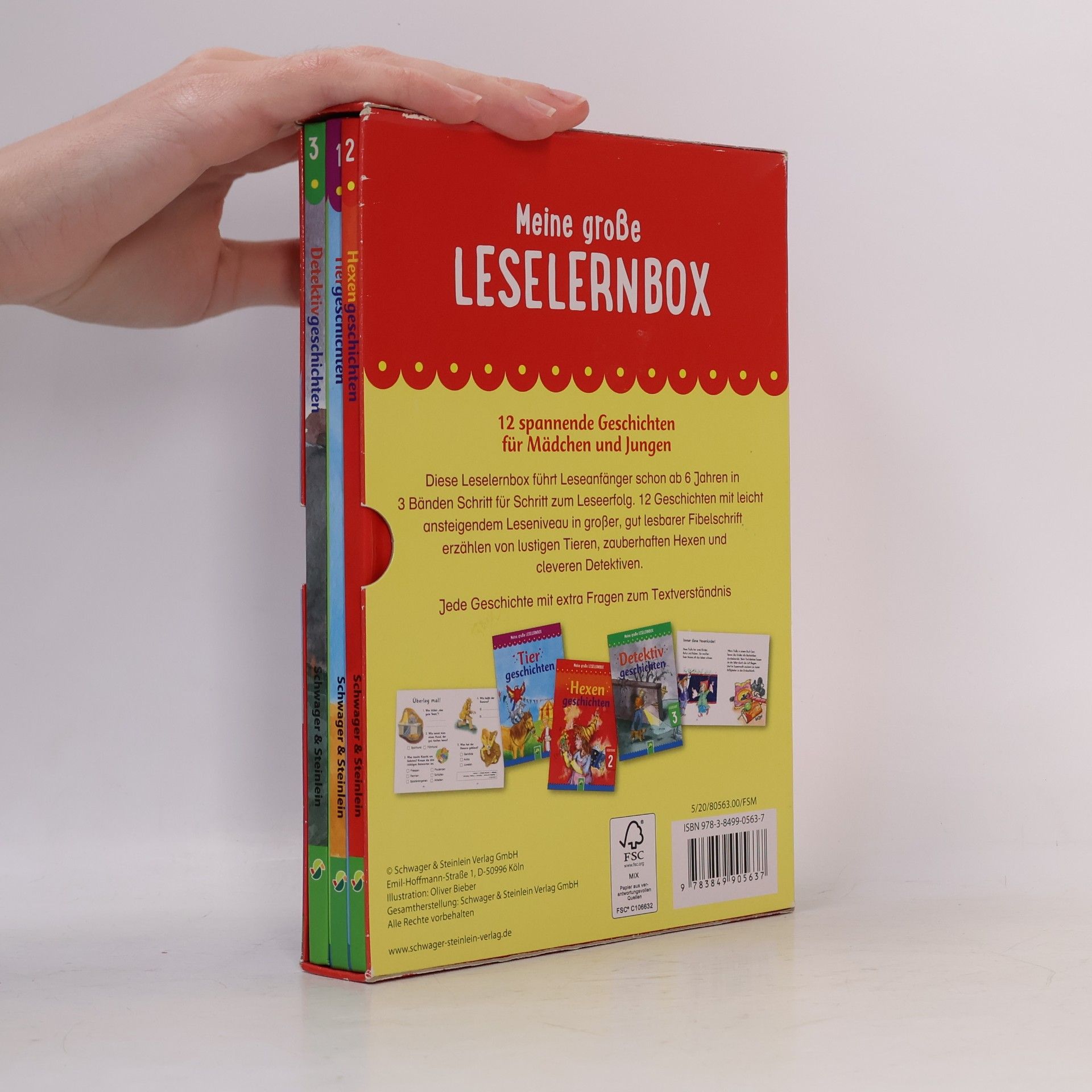 Anke Breitenborn Meine große Leselernbox - Tiergeschichten, Hexengeschichten, Detektivgeschichten, 3 Bde.