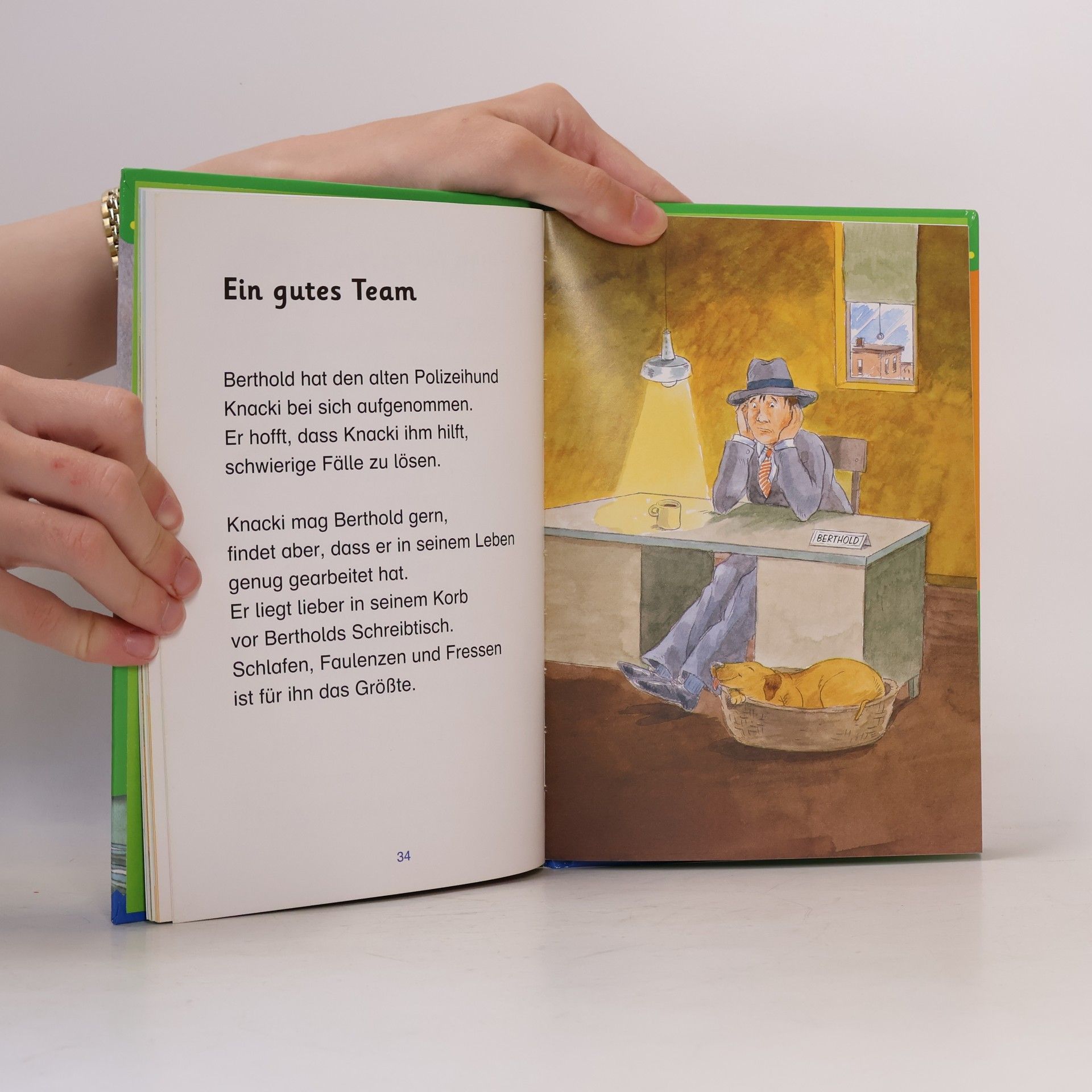Anke Breitenborn Meine große Leselernbox - Tiergeschichten, Hexengeschichten, Detektivgeschichten, 3 Bde.